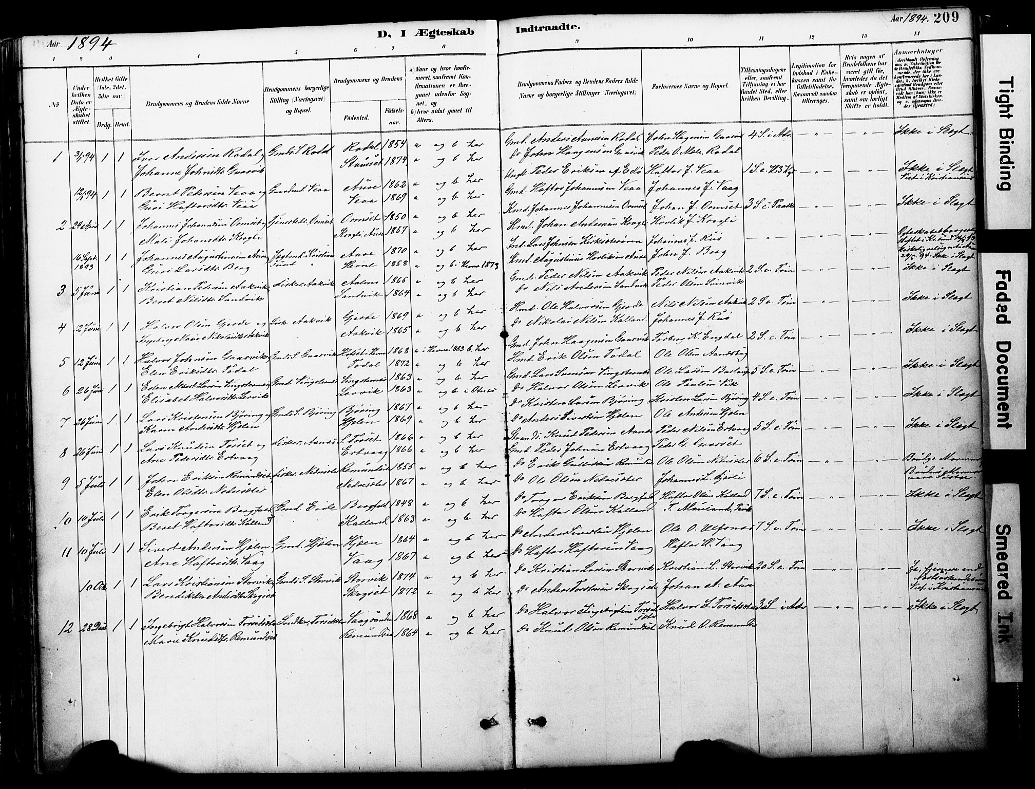 Ministerialprotokoller, klokkerbøker og fødselsregistre - Møre og Romsdal, AV/SAT-A-1454/578/L0907: Parish register (official) no. 578A06, 1887-1904, p. 209