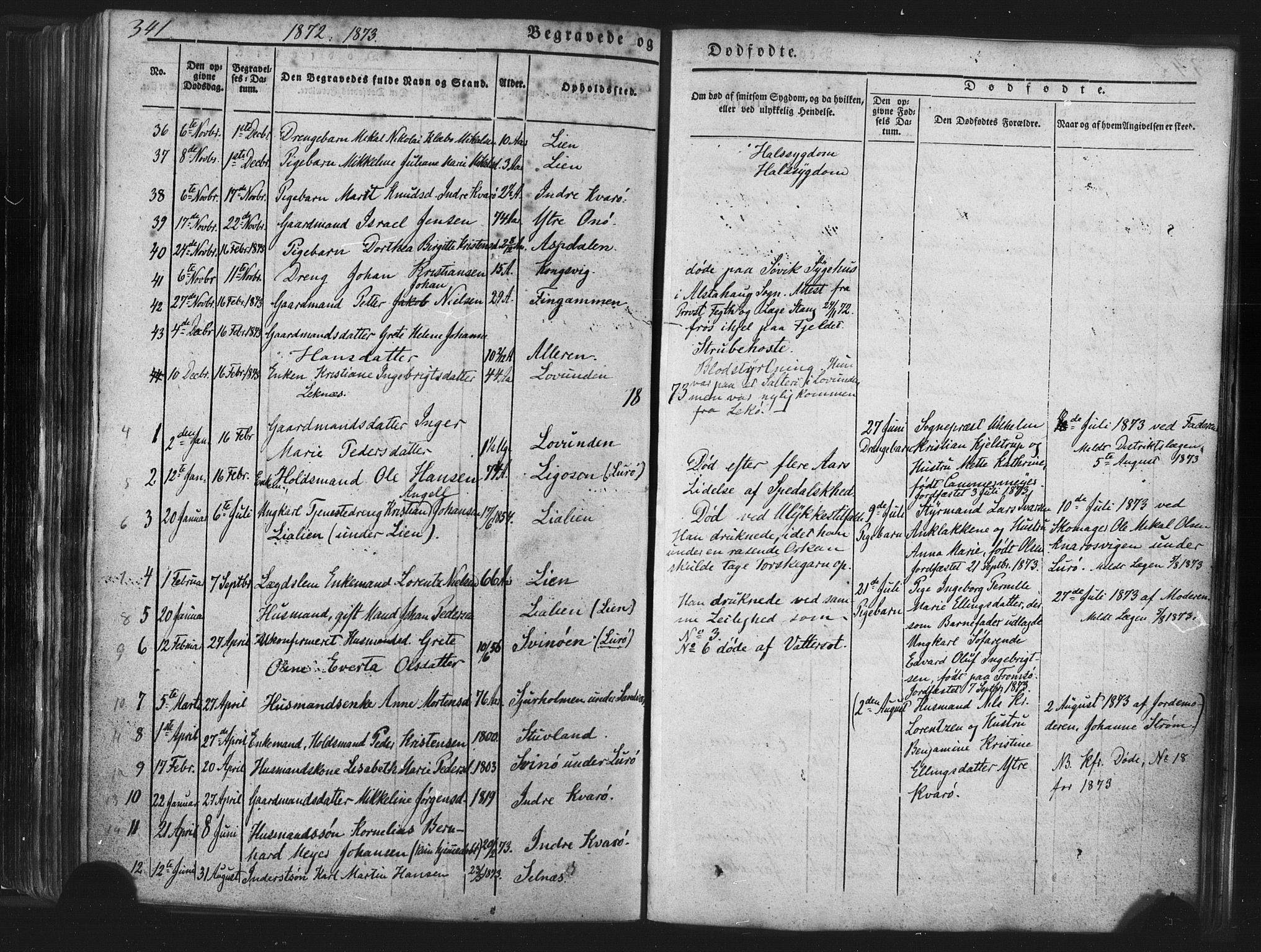 Ministerialprotokoller, klokkerbøker og fødselsregistre - Nordland, SAT/A-1459/839/L0567: Parish register (official) no. 839A04, 1863-1879, p. 341