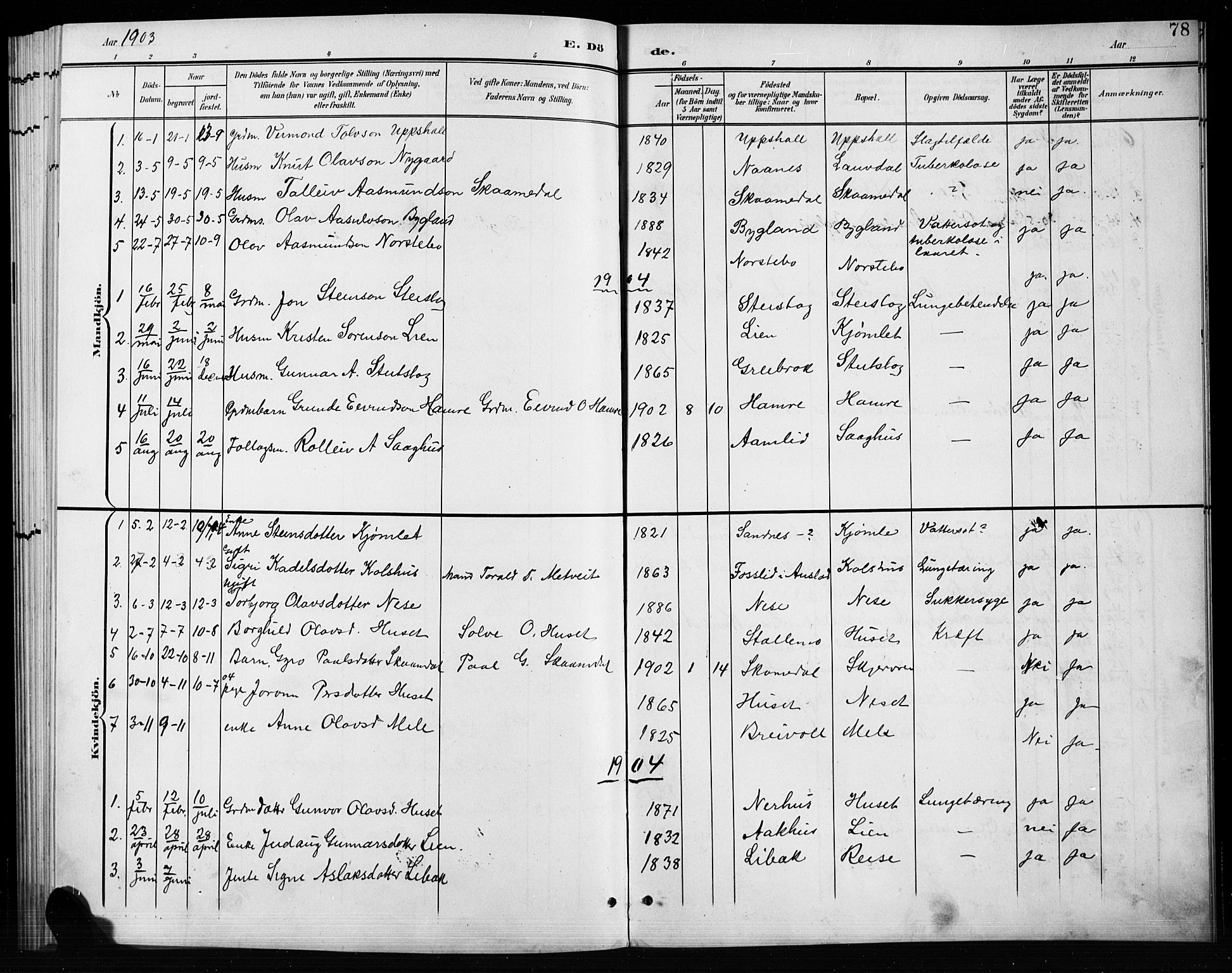 Bygland sokneprestkontor, AV/SAK-1111-0006/F/Fb/Fbb/L0004: Parish register (copy) no. B 4, 1902-1920, p. 78