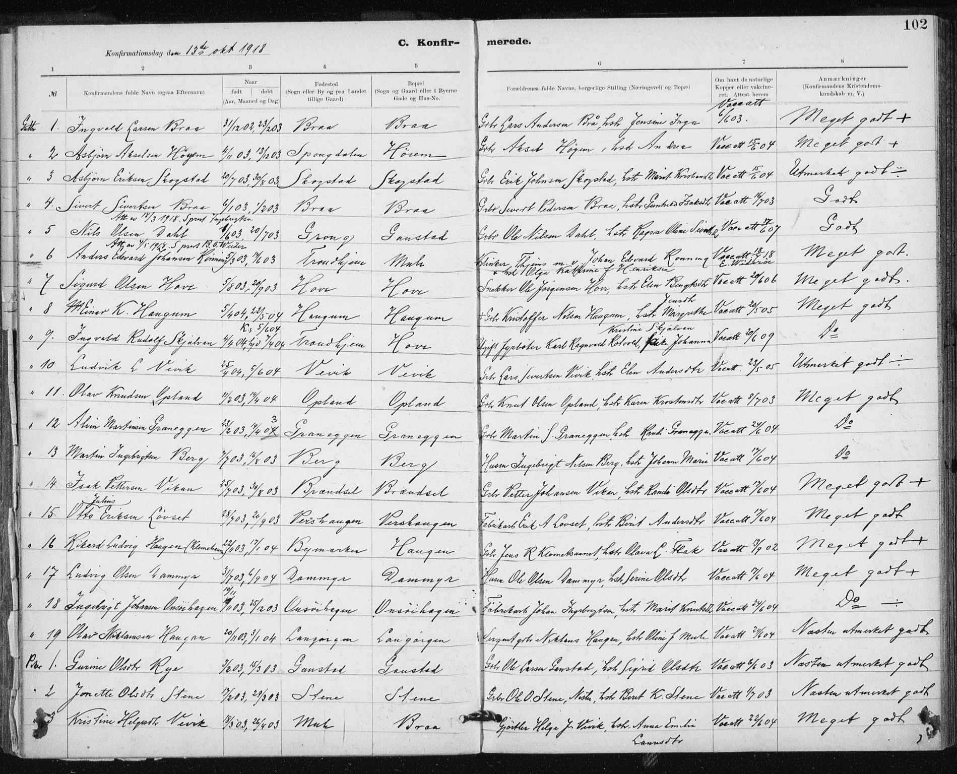 Ministerialprotokoller, klokkerbøker og fødselsregistre - Sør-Trøndelag, SAT/A-1456/612/L0381: Parish register (official) no. 612A13, 1907-1923, p. 102
