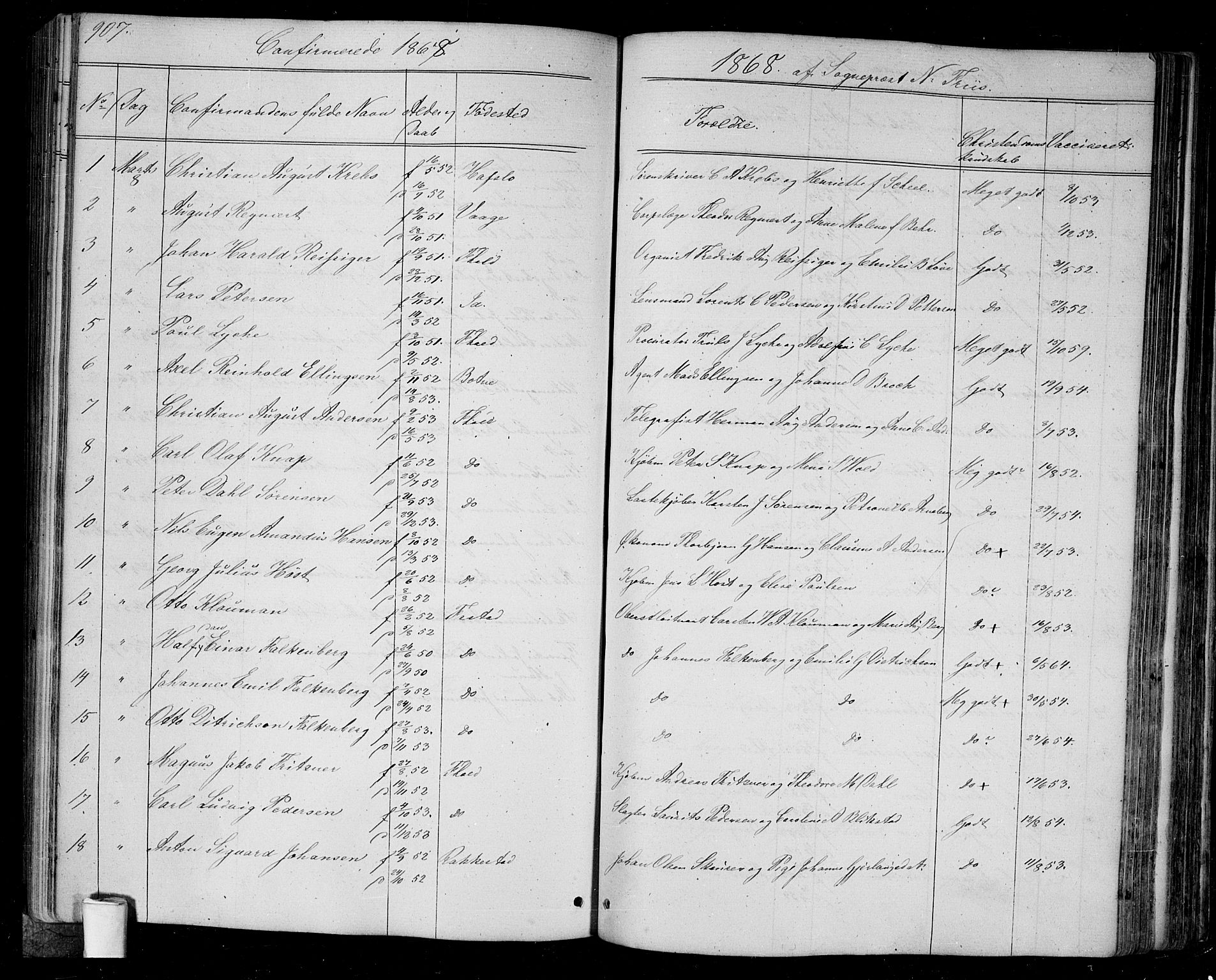 Halden prestekontor Kirkebøker, SAO/A-10909/G/Ga/L0005b: Parish register (copy) no. 5B, 1864-1868, p. 907