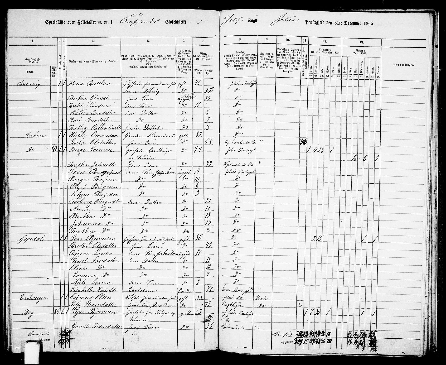 RA, 1865 census for Jelsa, 1865, p. 106