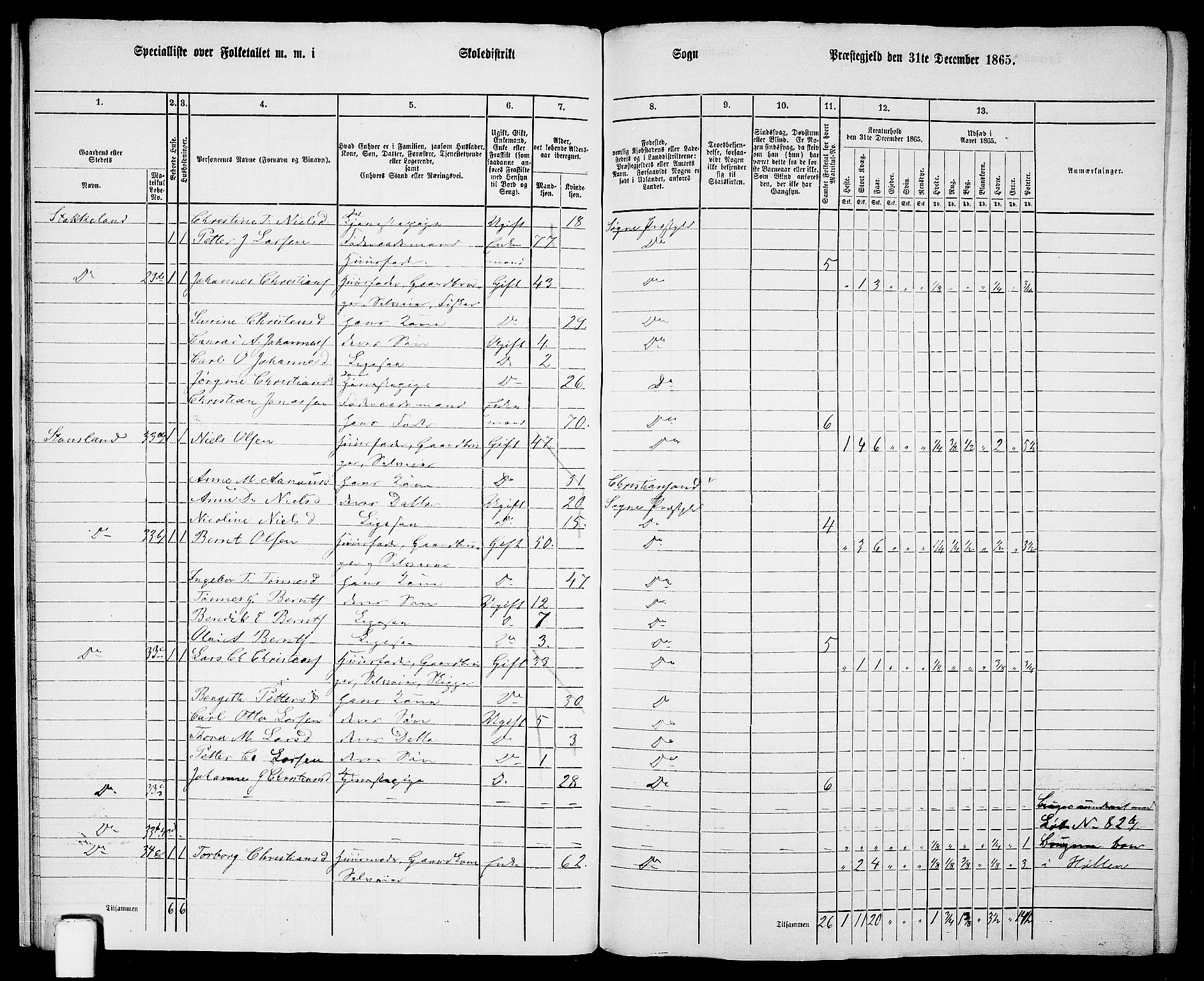 RA, 1865 census for Søgne, 1865, p. 25