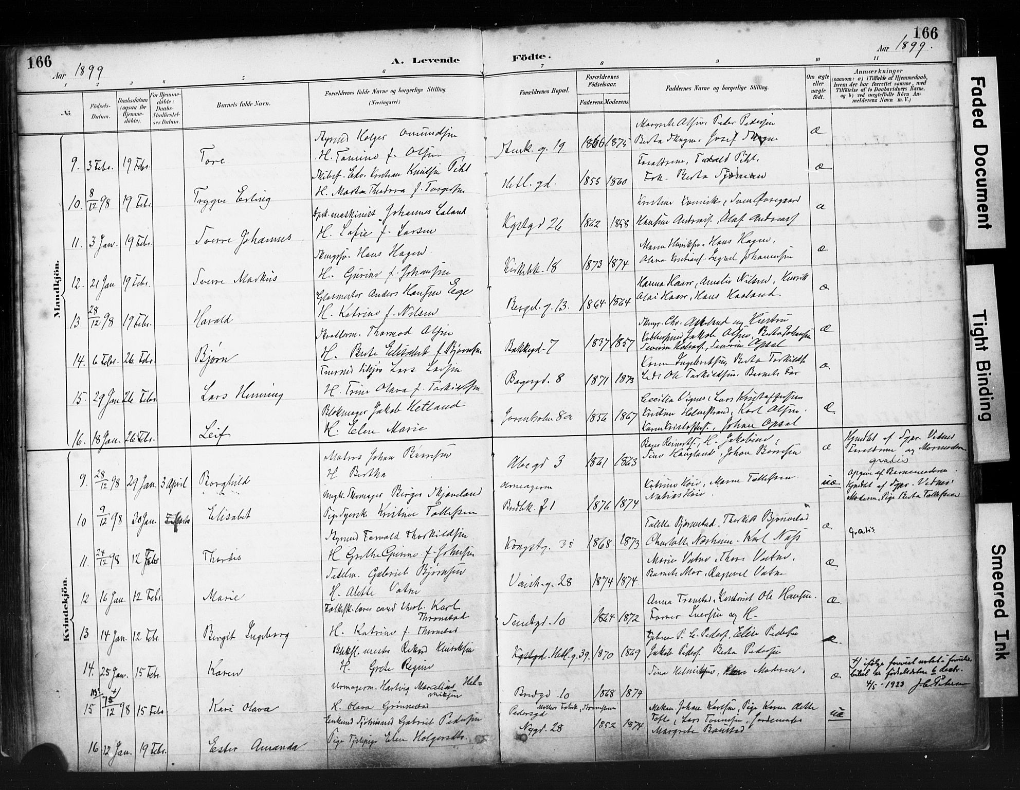 St. Petri sokneprestkontor, AV/SAST-A-101813/001/30/30BA/L0019: Parish register (official) no. A 20, 1888-1901, p. 166