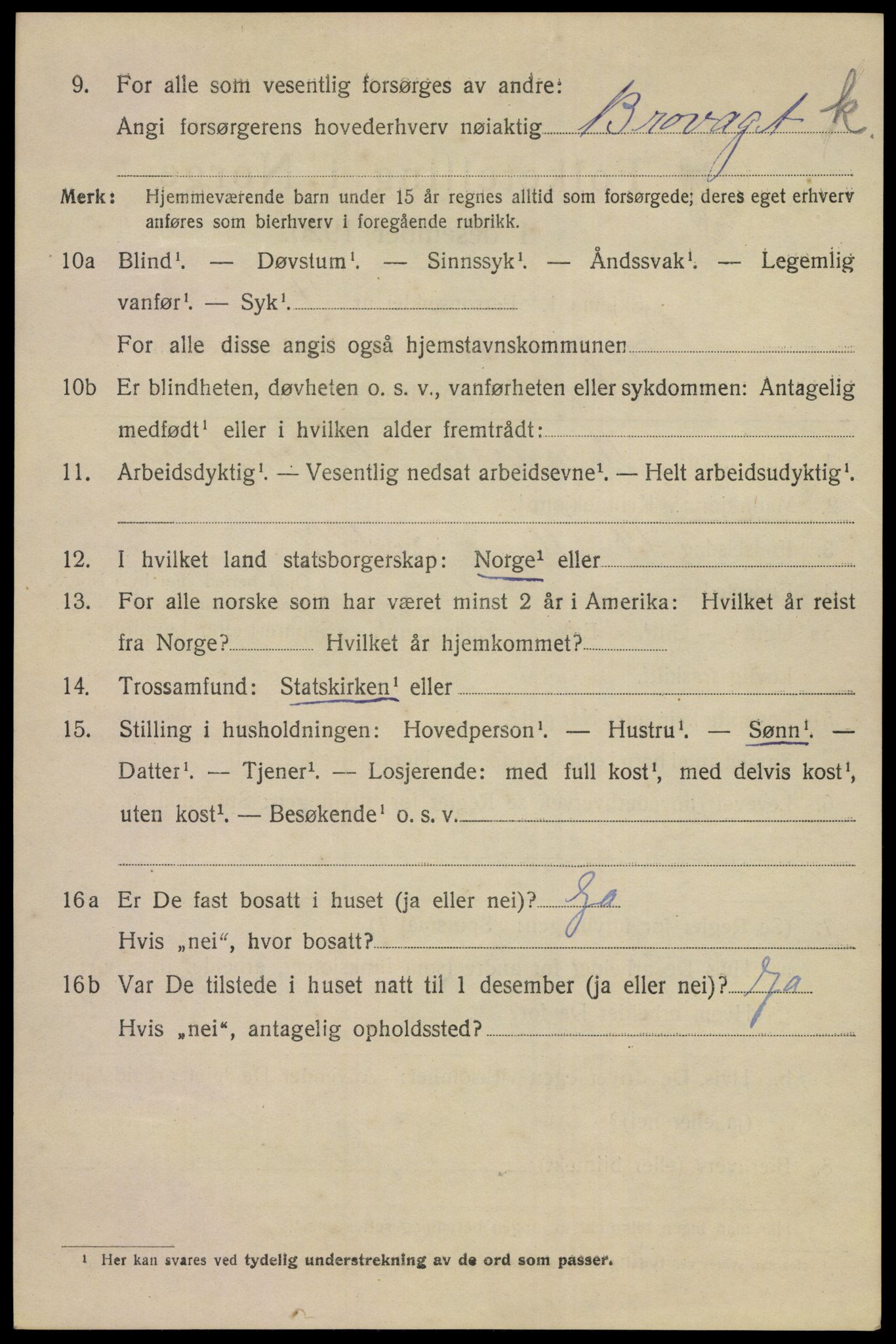 SAKO, 1920 census for Porsgrunn, 1920, p. 19930