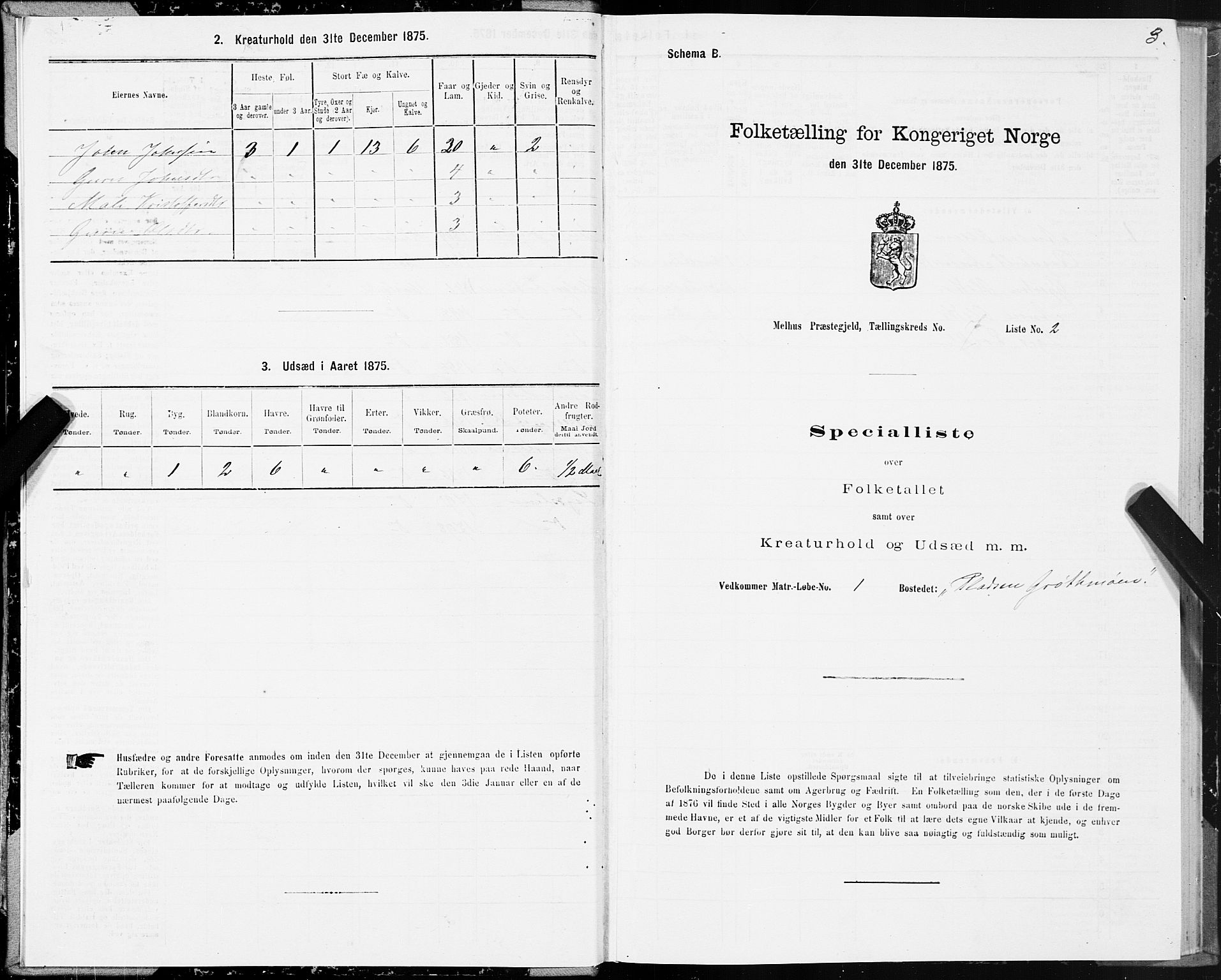 SAT, 1875 census for 1653P Melhus, 1875, p. 5003