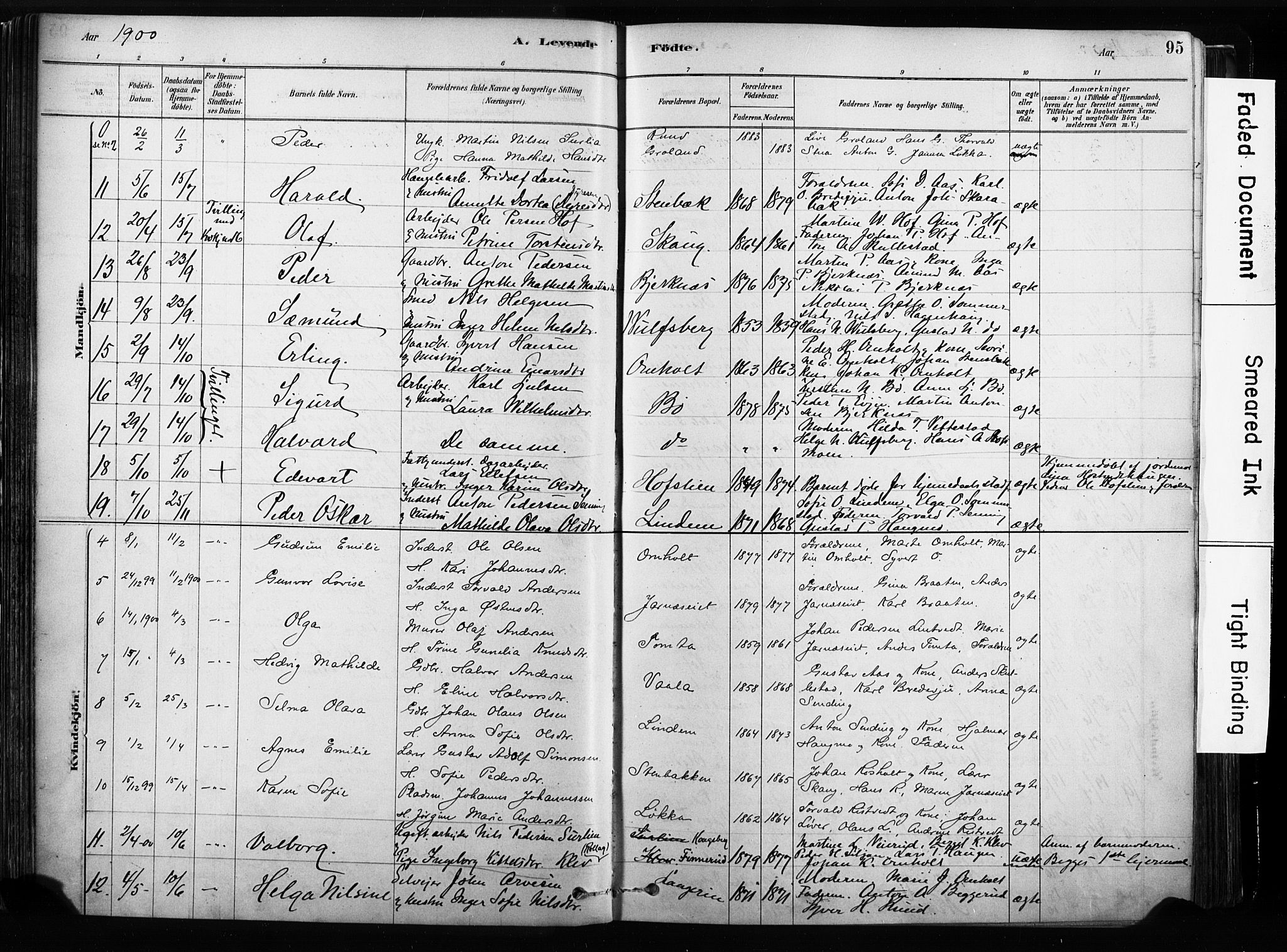 Sandsvær kirkebøker, SAKO/A-244/F/Fb/L0001: Parish register (official) no. II 1, 1878-1906, p. 95