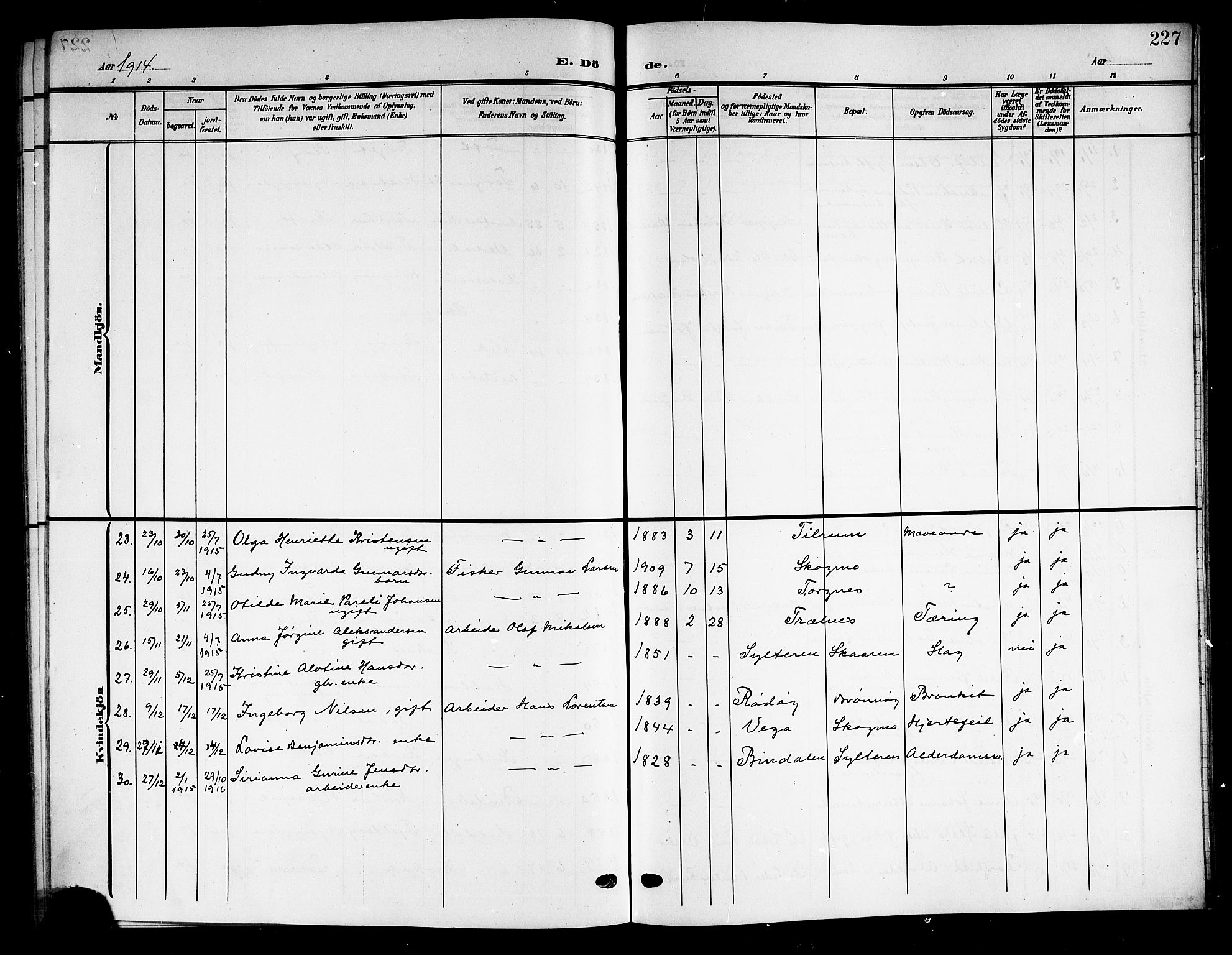 Ministerialprotokoller, klokkerbøker og fødselsregistre - Nordland, AV/SAT-A-1459/813/L0214: Parish register (copy) no. 813C06, 1904-1917, p. 227