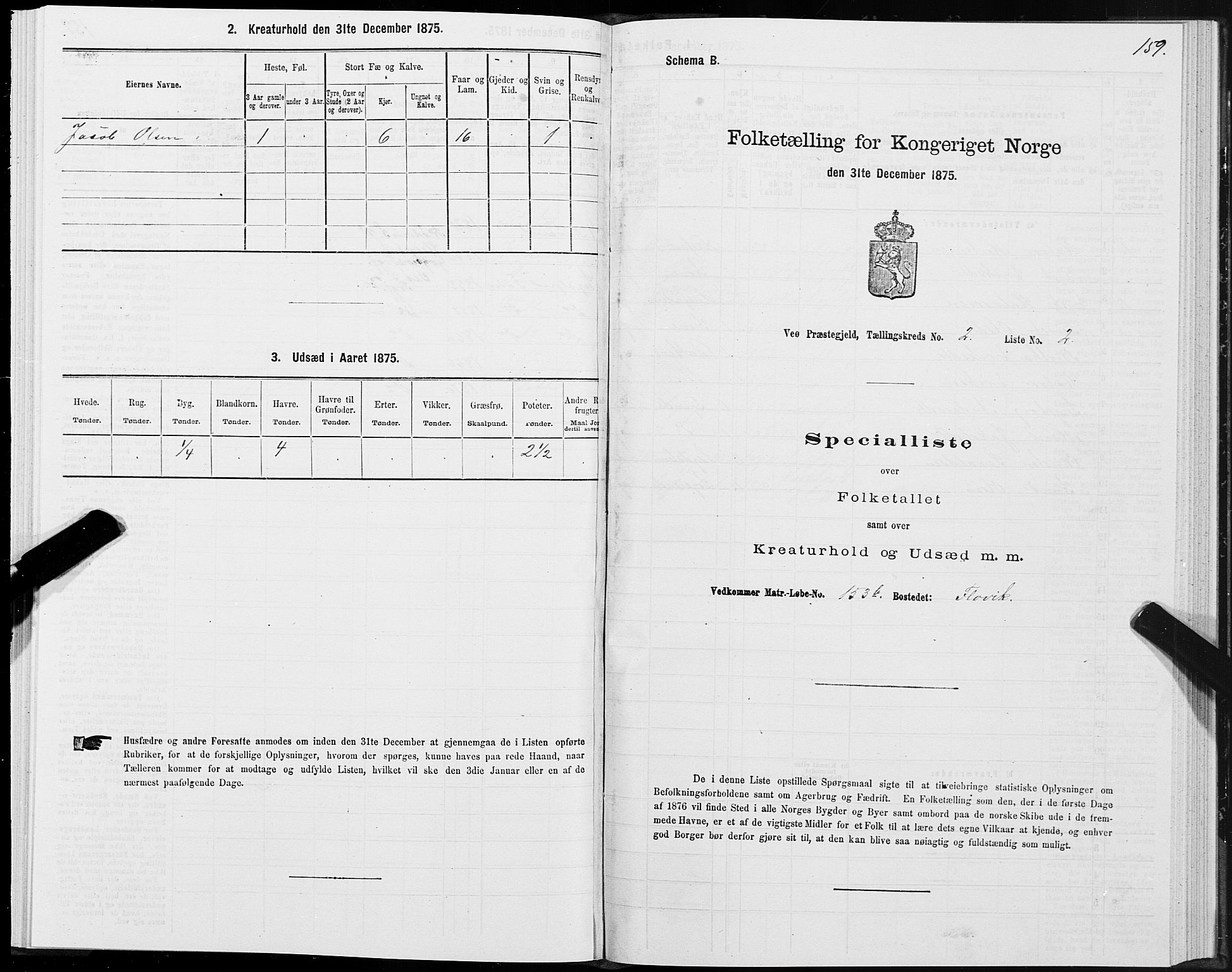 SAT, 1875 census for 1541P Veøy, 1875, p. 1159