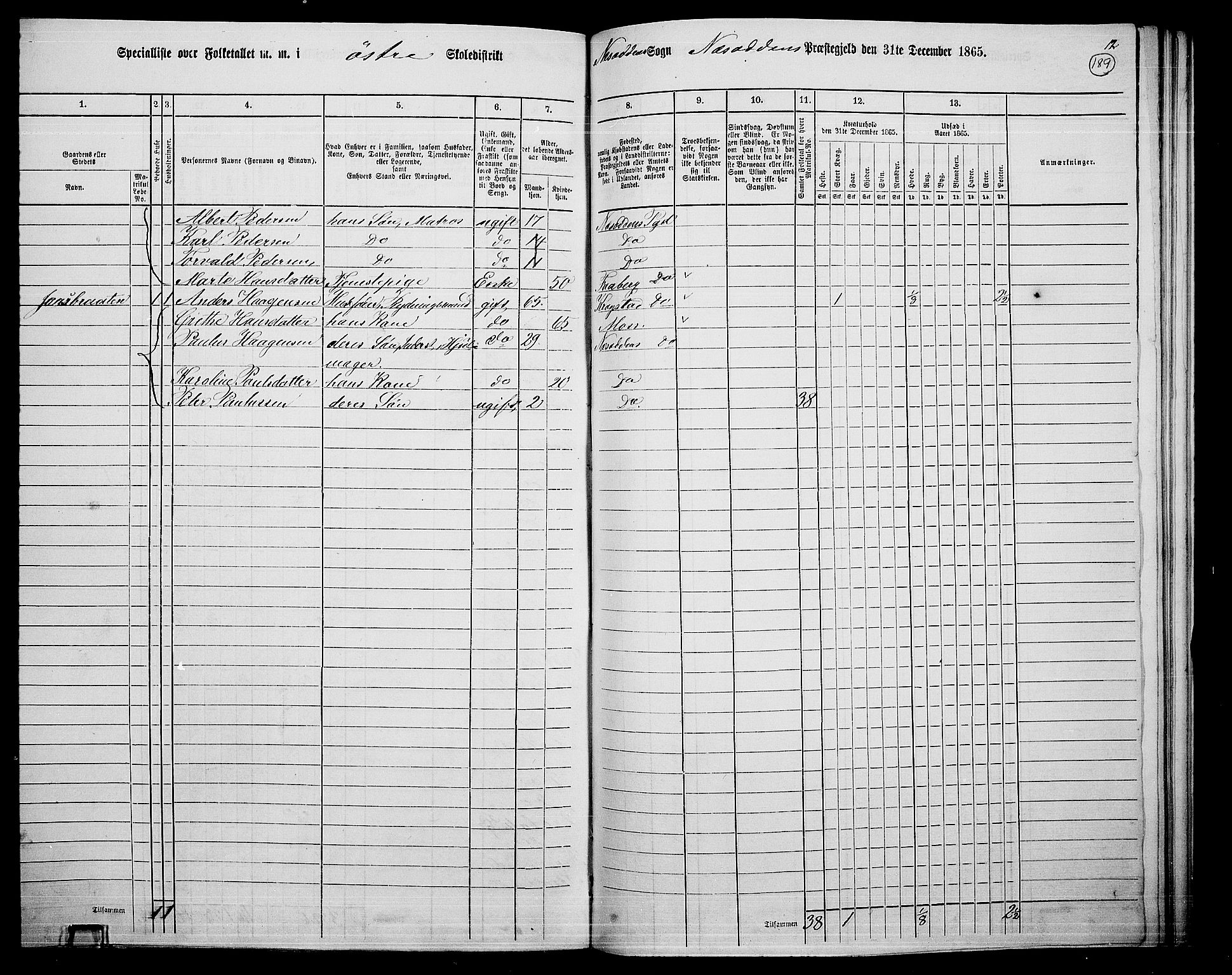 RA, 1865 census for Nesodden, 1865, p. 31