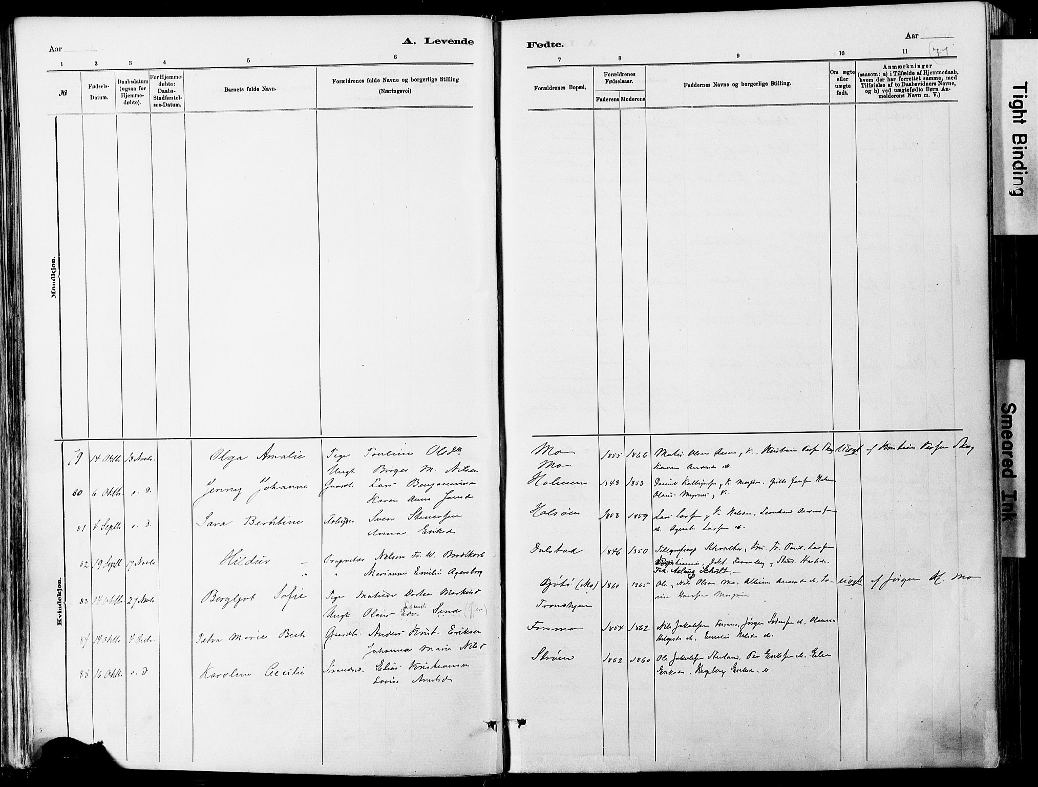 Ministerialprotokoller, klokkerbøker og fødselsregistre - Nordland, AV/SAT-A-1459/820/L0295: Parish register (official) no. 820A16, 1880-1896, p. 71