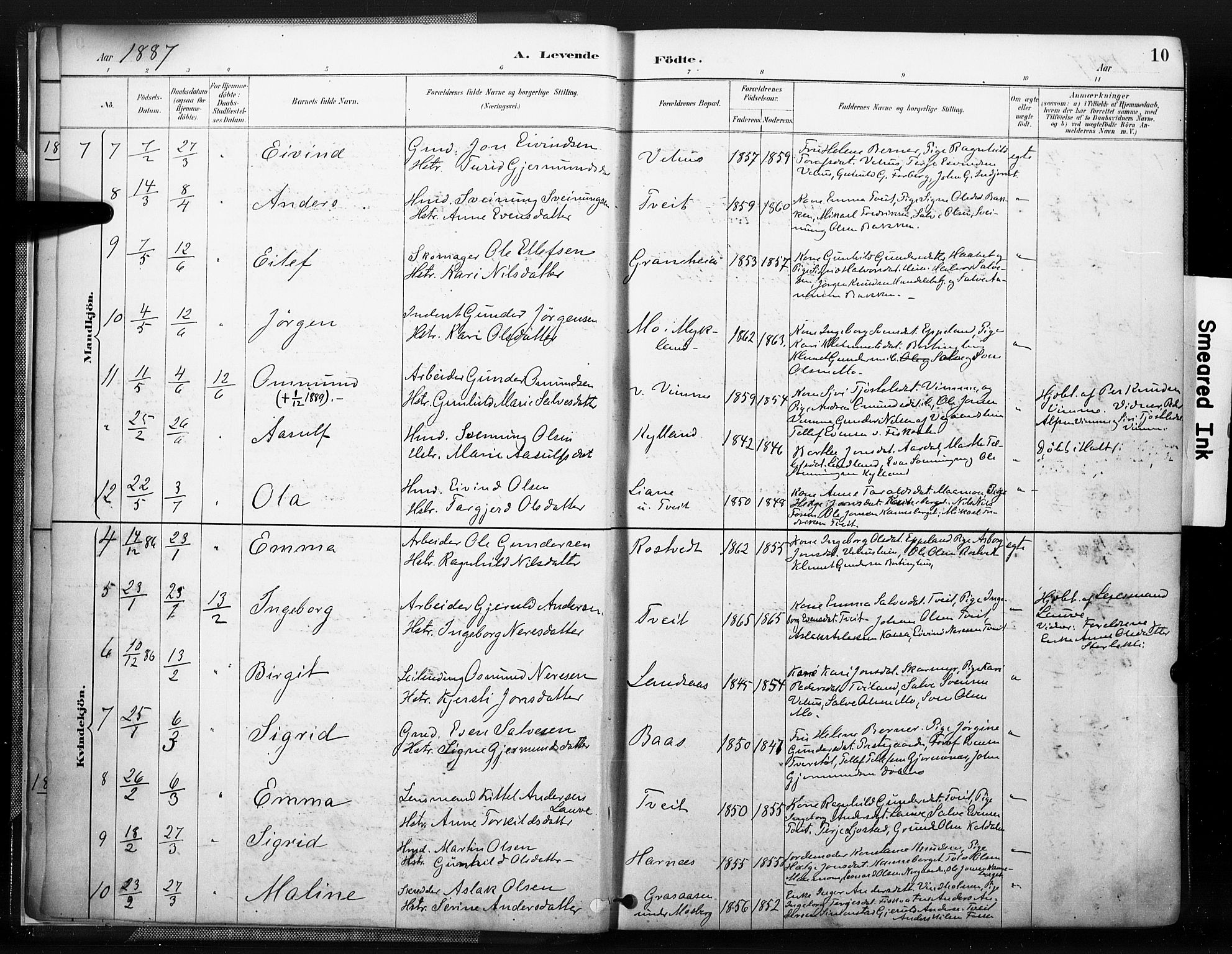 Åmli sokneprestkontor, AV/SAK-1111-0050/F/Fa/Fac/L0010: Parish register (official) no. A 10 /1, 1885-1899, p. 10