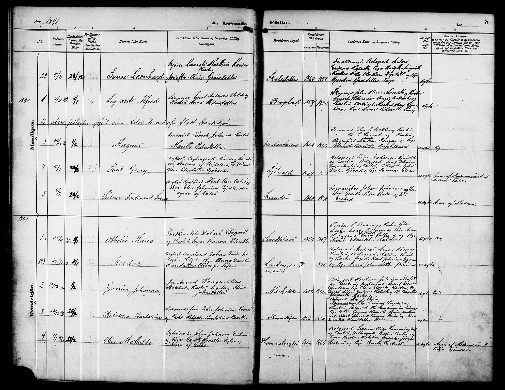 Ministerialprotokoller, klokkerbøker og fødselsregistre - Sør-Trøndelag, SAT/A-1456/617/L0431: Parish register (copy) no. 617C01, 1889-1910, p. 8