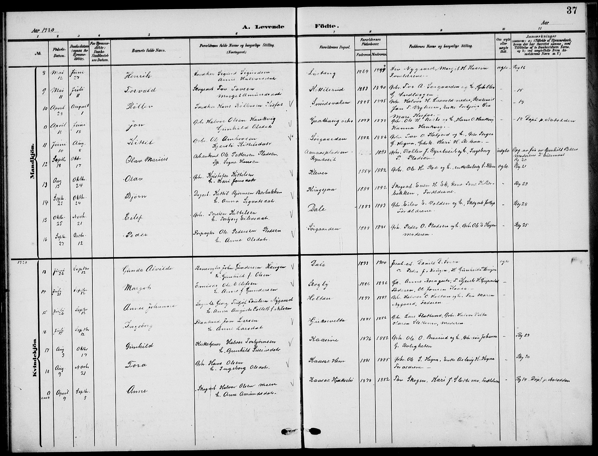 Sauherad kirkebøker, SAKO/A-298/G/Ga/L0004a: Parish register (copy) no. I 4a, 1906-1934, p. 37