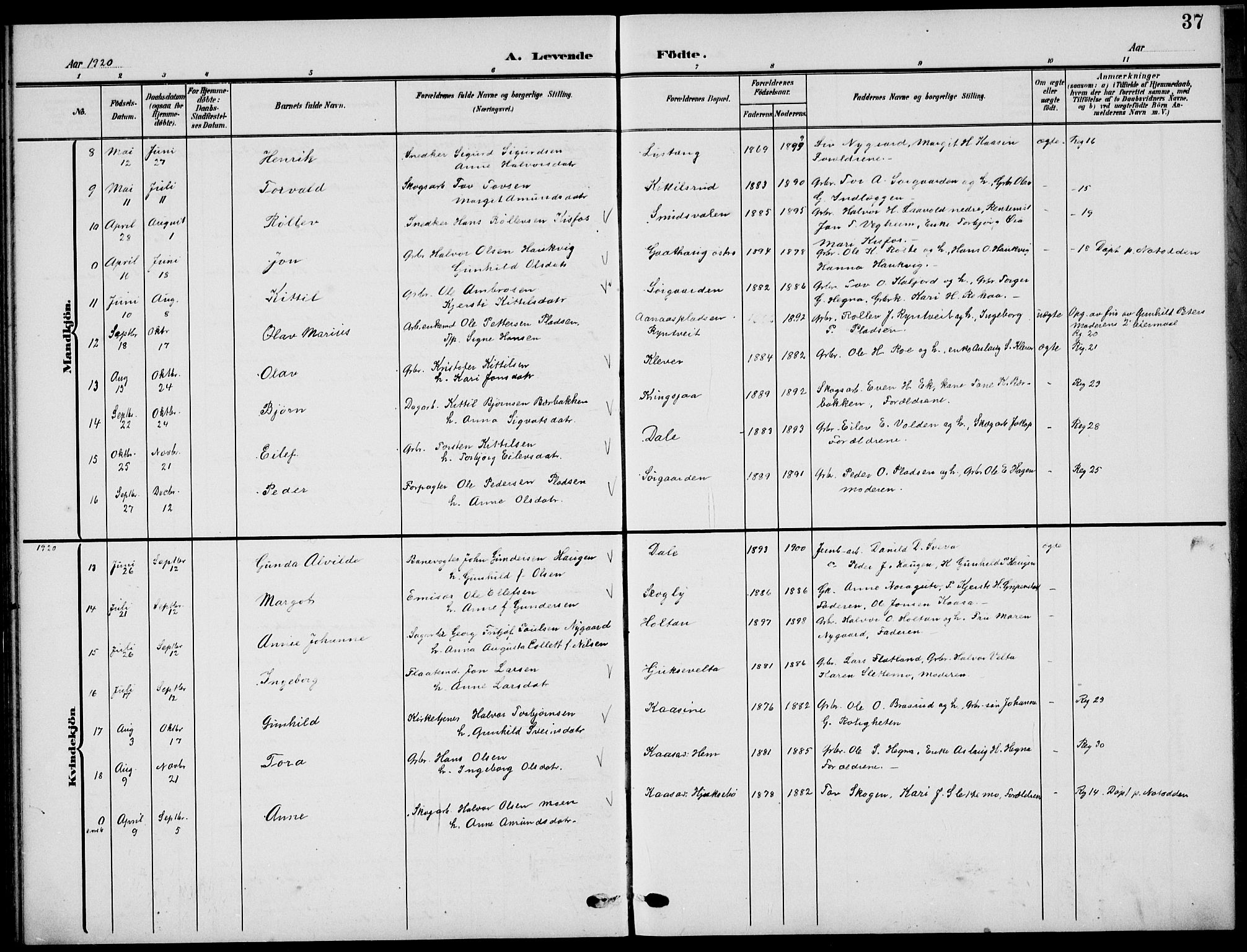 Sauherad kirkebøker, AV/SAKO-A-298/G/Ga/L0004a: Parish register (copy) no. I 4a, 1906-1934, p. 37