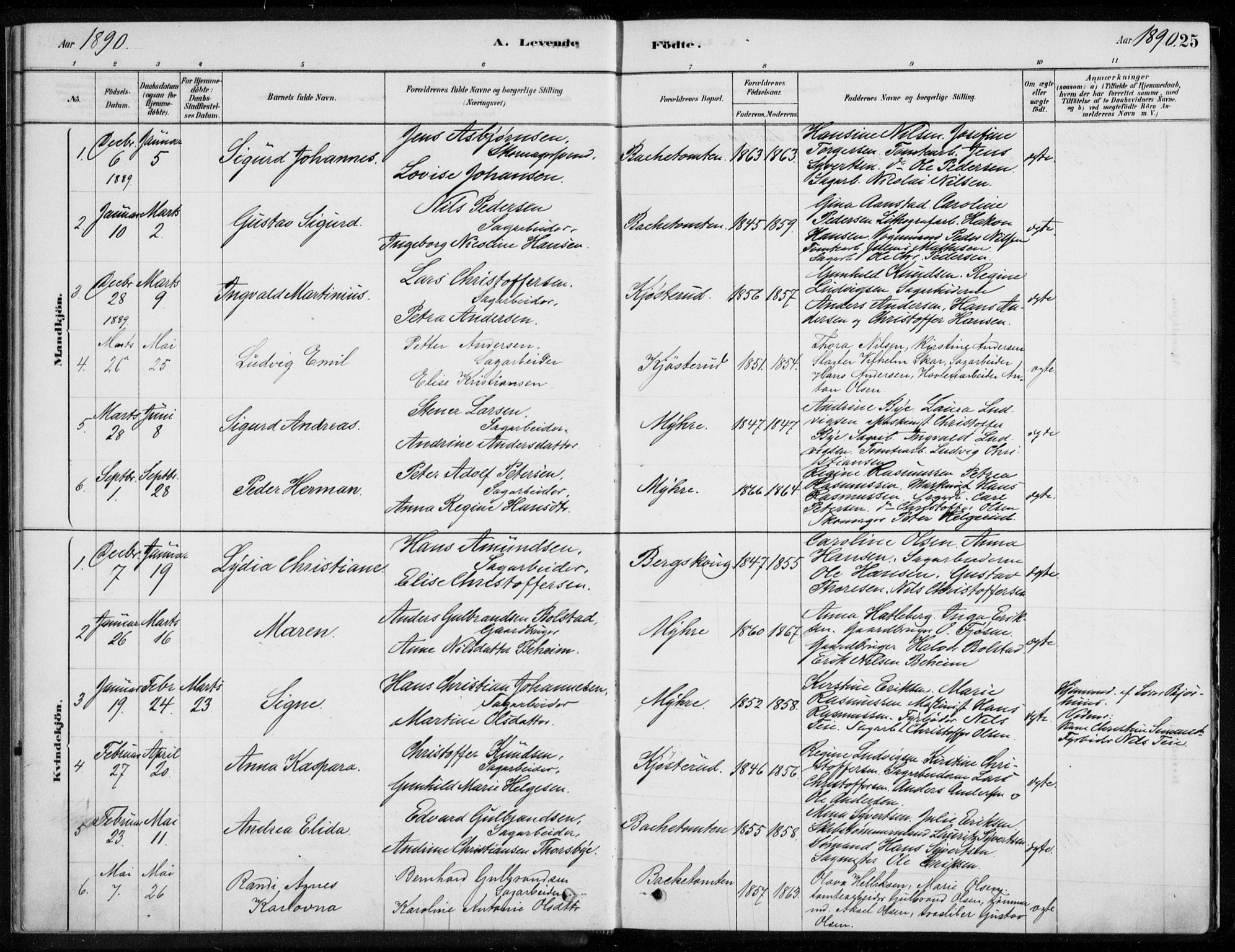 Åssiden kirkebøker, SAKO/A-251/F/Fa/L0001: Parish register (official) no. 1, 1878-1904, p. 25