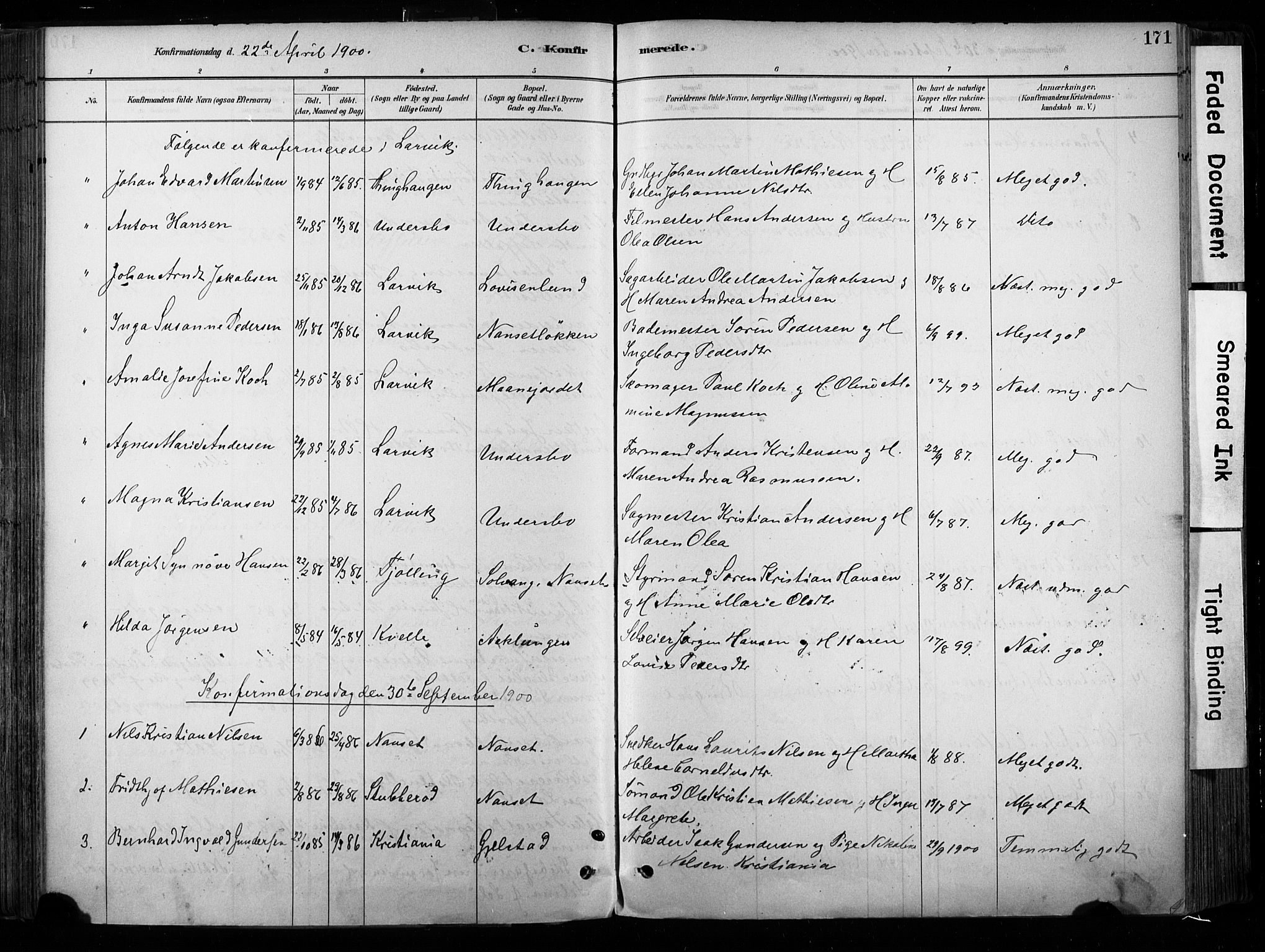 Hedrum kirkebøker, AV/SAKO-A-344/F/Fa/L0009: Parish register (official) no. I 9, 1881-1903, p. 171