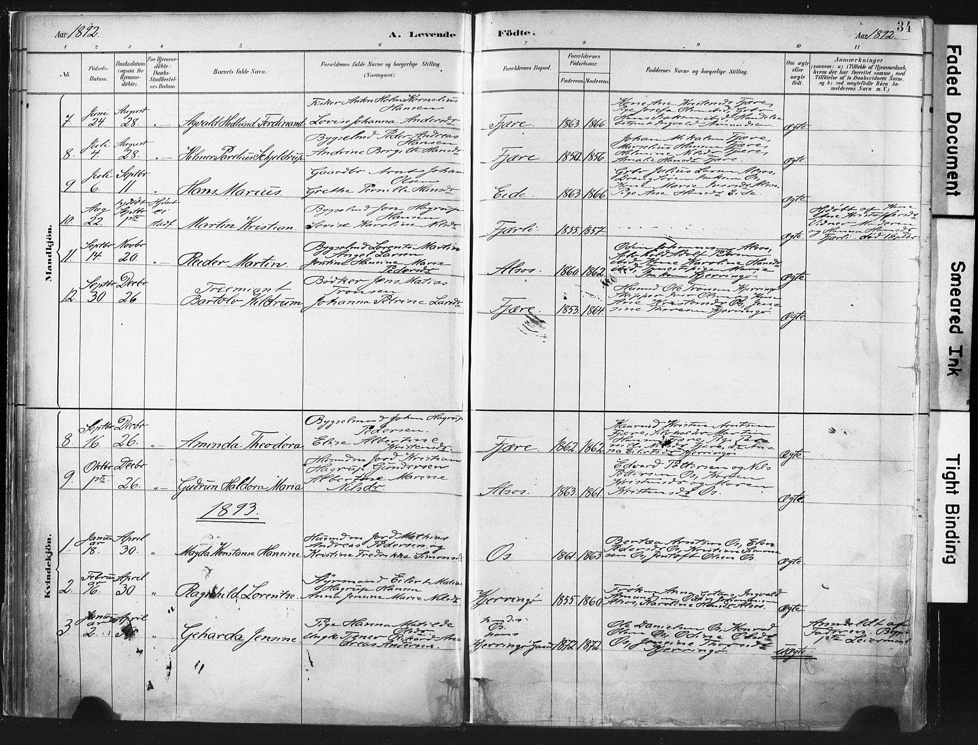 Ministerialprotokoller, klokkerbøker og fødselsregistre - Nordland, SAT/A-1459/803/L0071: Parish register (official) no. 803A01, 1881-1897, p. 34