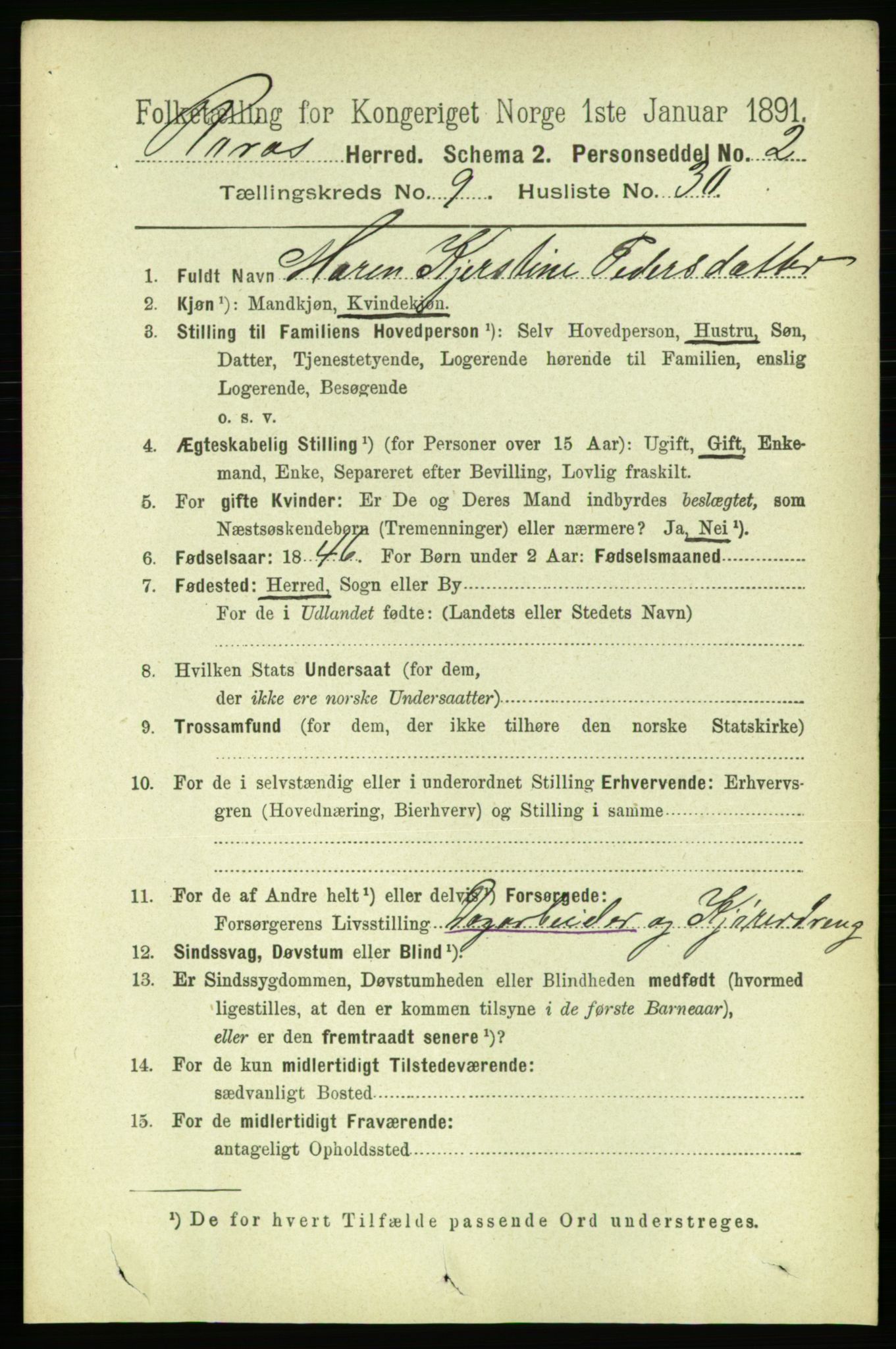 RA, 1891 census for 1640 Røros, 1891, p. 1976