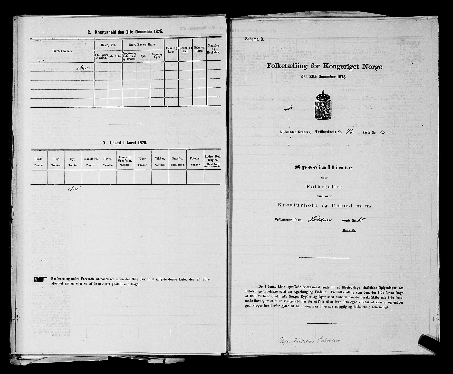 SAKO, 1875 census for 0801P Kragerø, 1875, p. 959