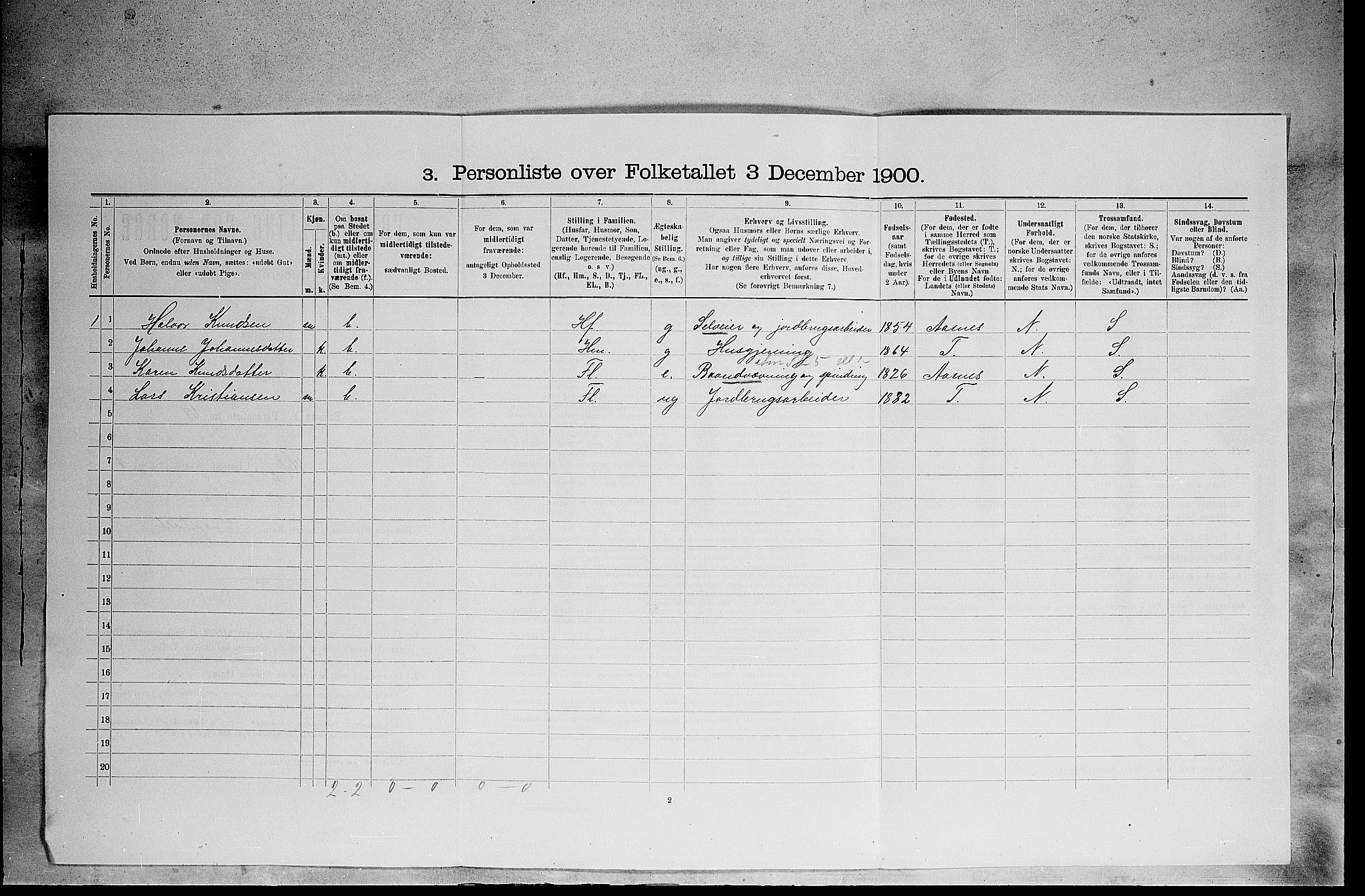 SAH, 1900 census for Hof, 1900, p. 788