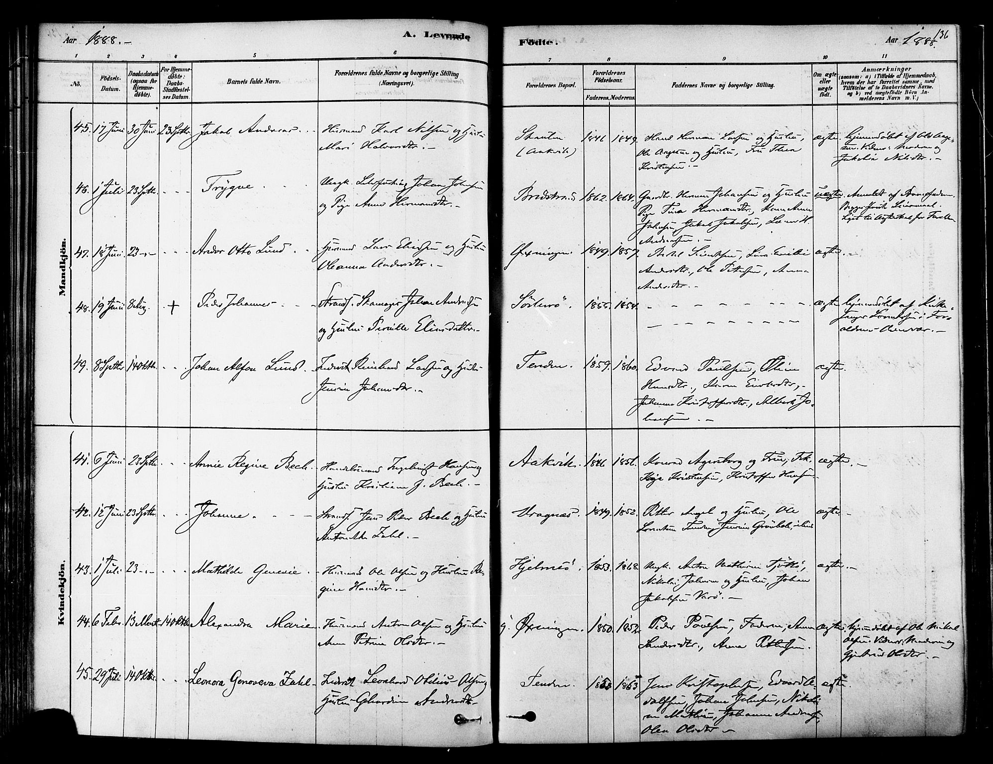 Ministerialprotokoller, klokkerbøker og fødselsregistre - Nordland, AV/SAT-A-1459/834/L0507: Parish register (official) no. 834A05, 1878-1892, p. 136