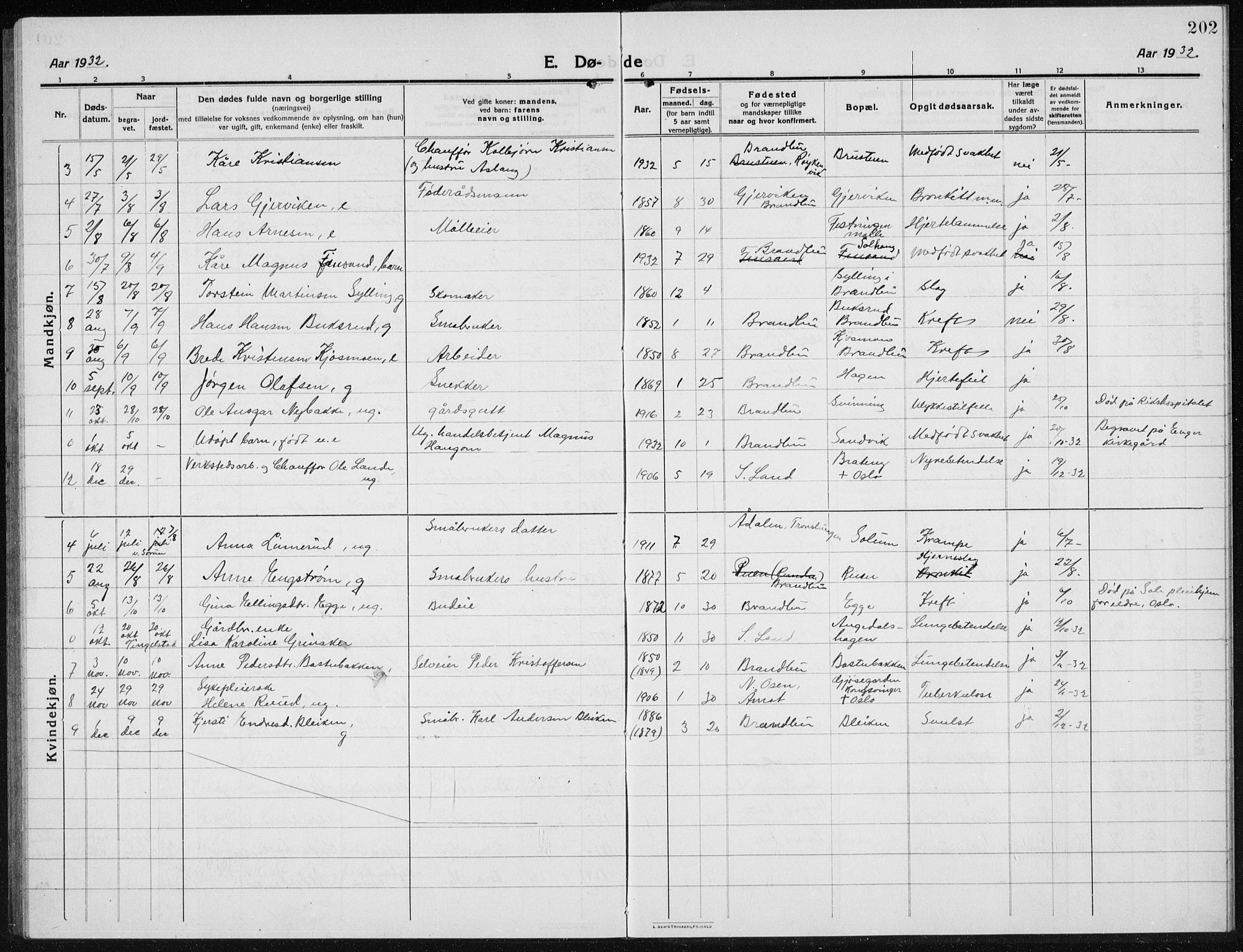 Brandbu prestekontor, AV/SAH-PREST-114/H/Ha/Hab/L0001: Parish register (copy) no. 1, 1914-1937, p. 202