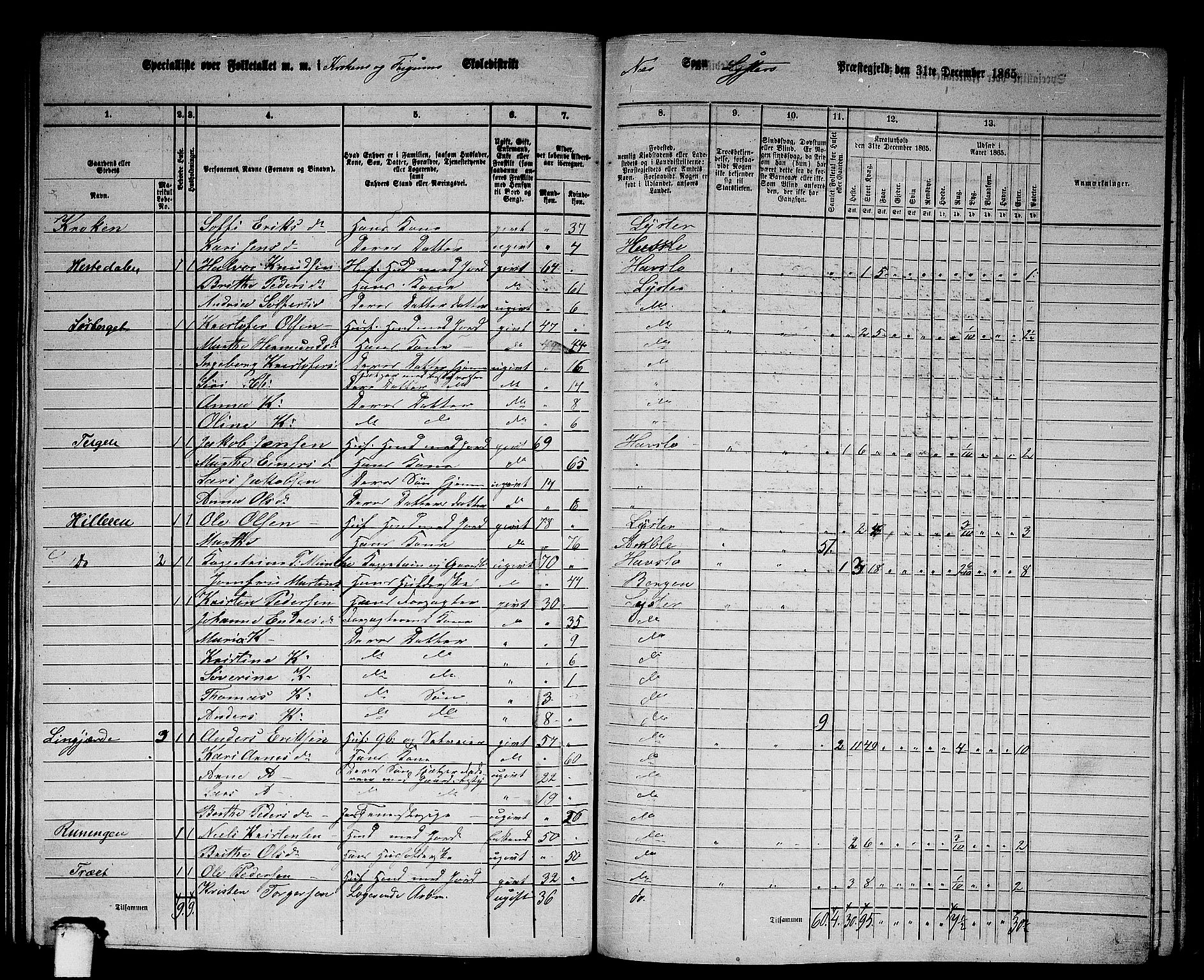 RA, 1865 census for Luster, 1865, p. 129