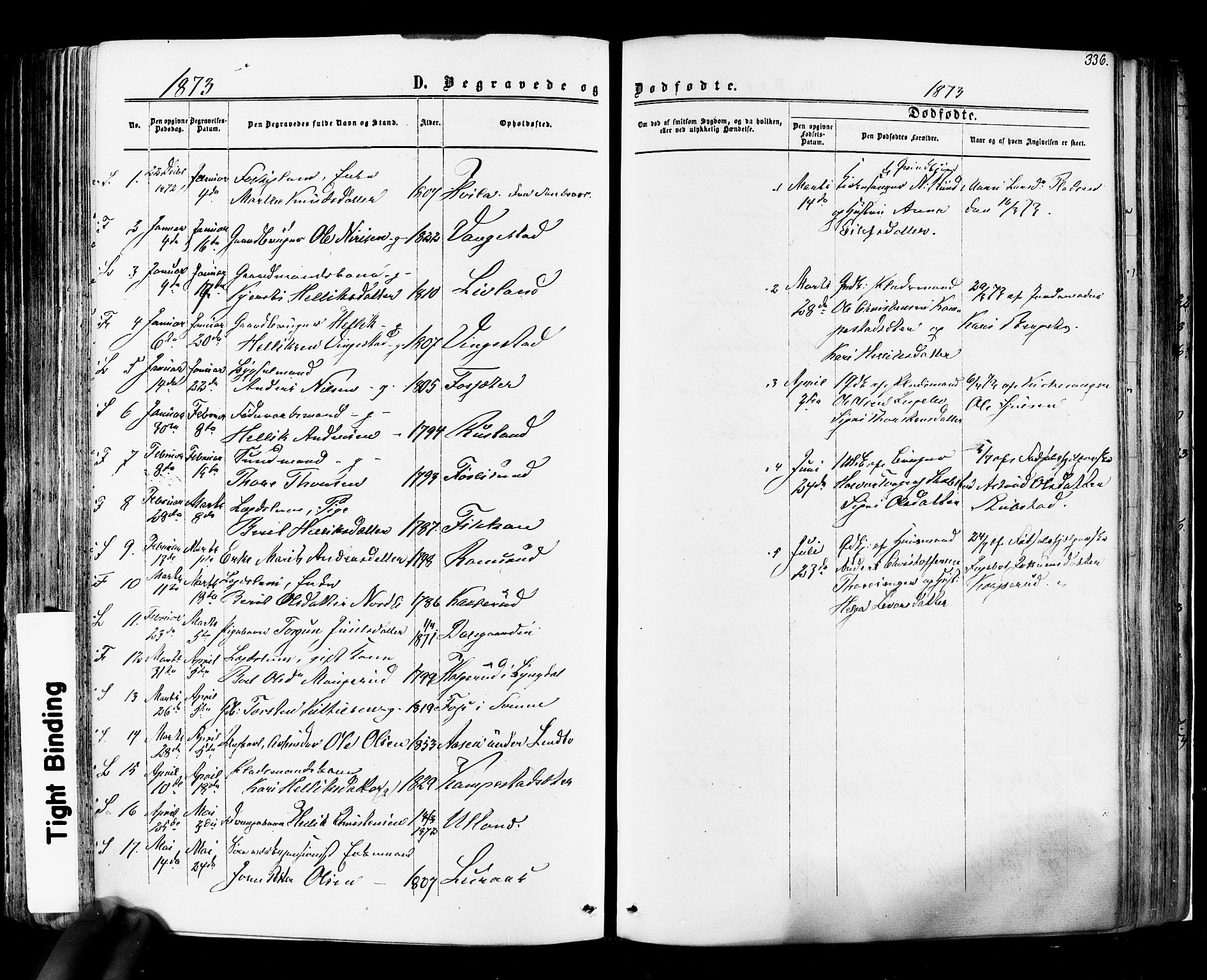Flesberg kirkebøker, SAKO/A-18/F/Fa/L0007: Parish register (official) no. I 7, 1861-1878, p. 336