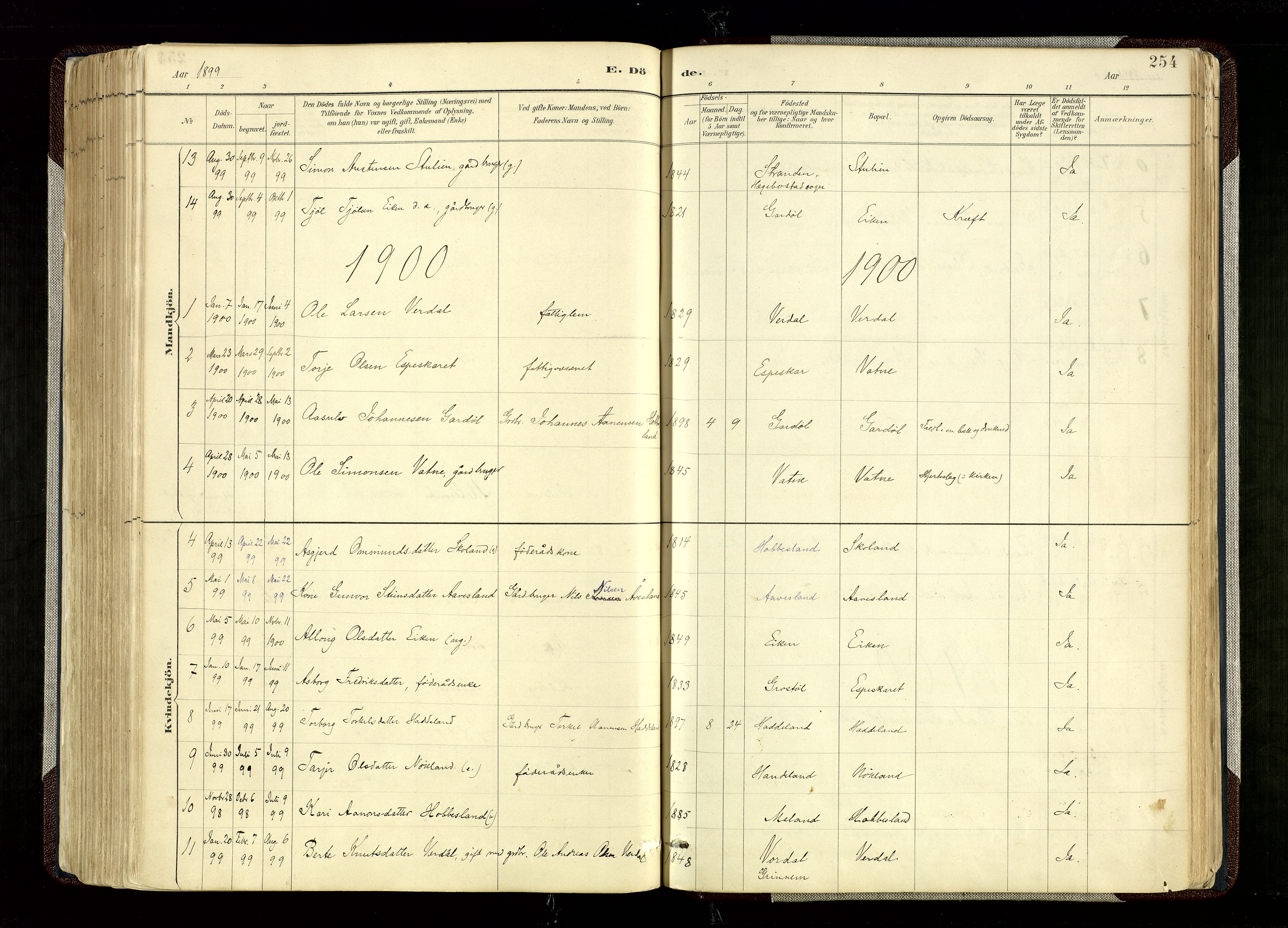 Hægebostad sokneprestkontor, SAK/1111-0024/F/Fa/Fab/L0004: Parish register (official) no. A 4, 1887-1929, p. 254