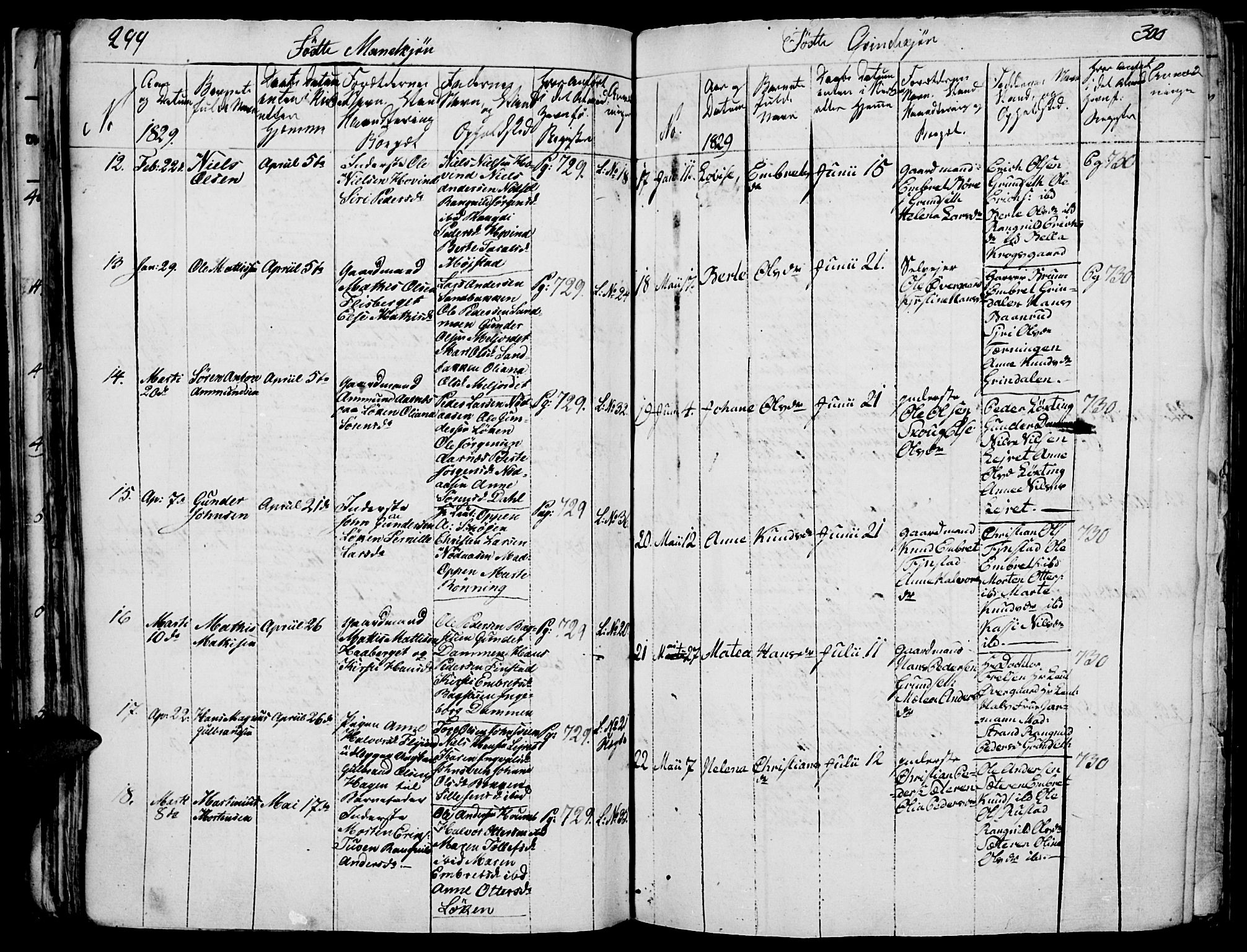Elverum prestekontor, SAH/PREST-044/H/Ha/Haa/L0007: Parish register (official) no. 7, 1815-1830, p. 299-300