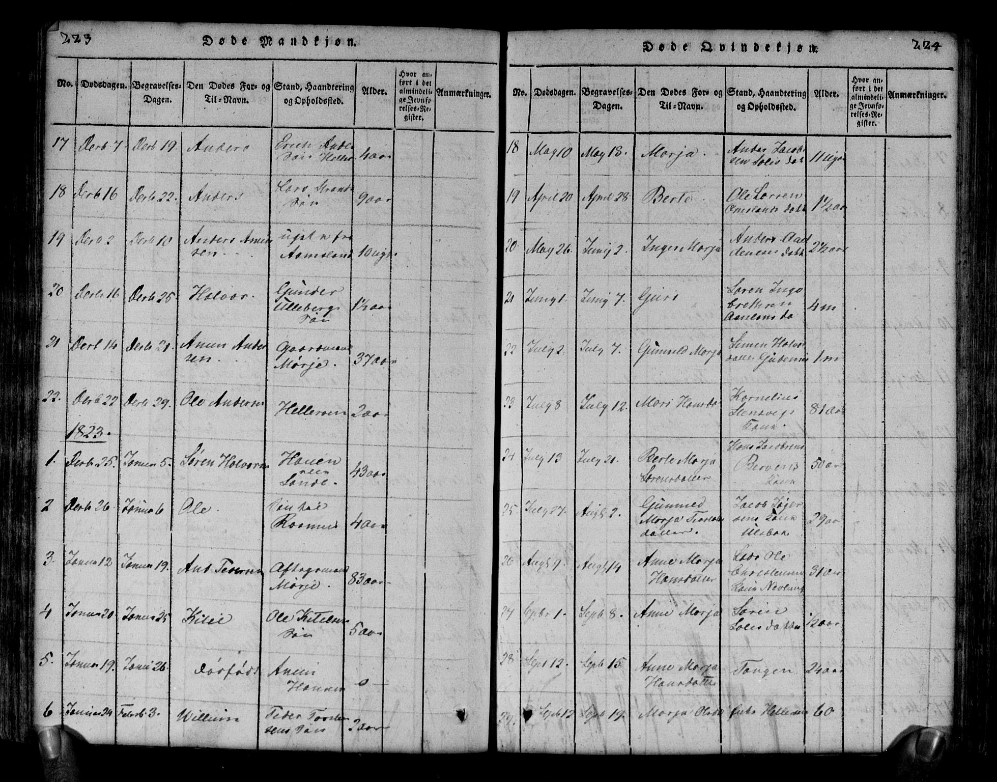 Brunlanes kirkebøker, AV/SAKO-A-342/G/Ga/L0001: Parish register (copy) no. I 1, 1814-1834, p. 223-224