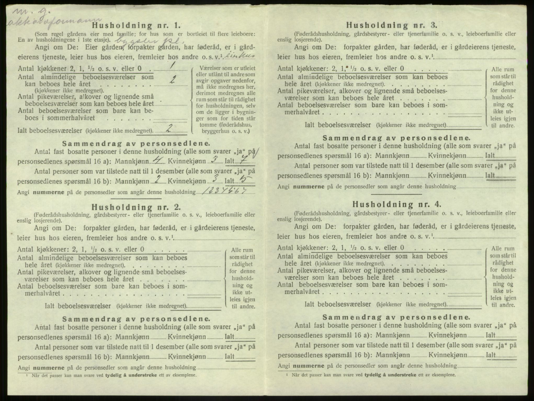 SAB, 1920 census for Hafslo, 1920, p. 306