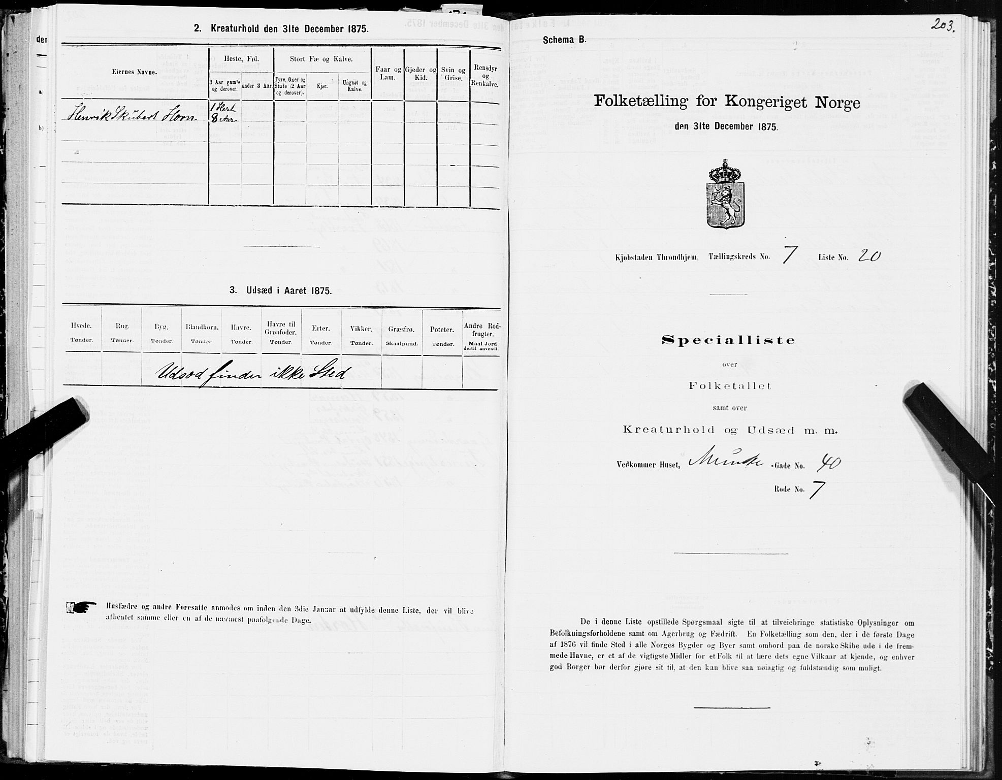 SAT, 1875 census for 1601 Trondheim, 1875, p. 4203