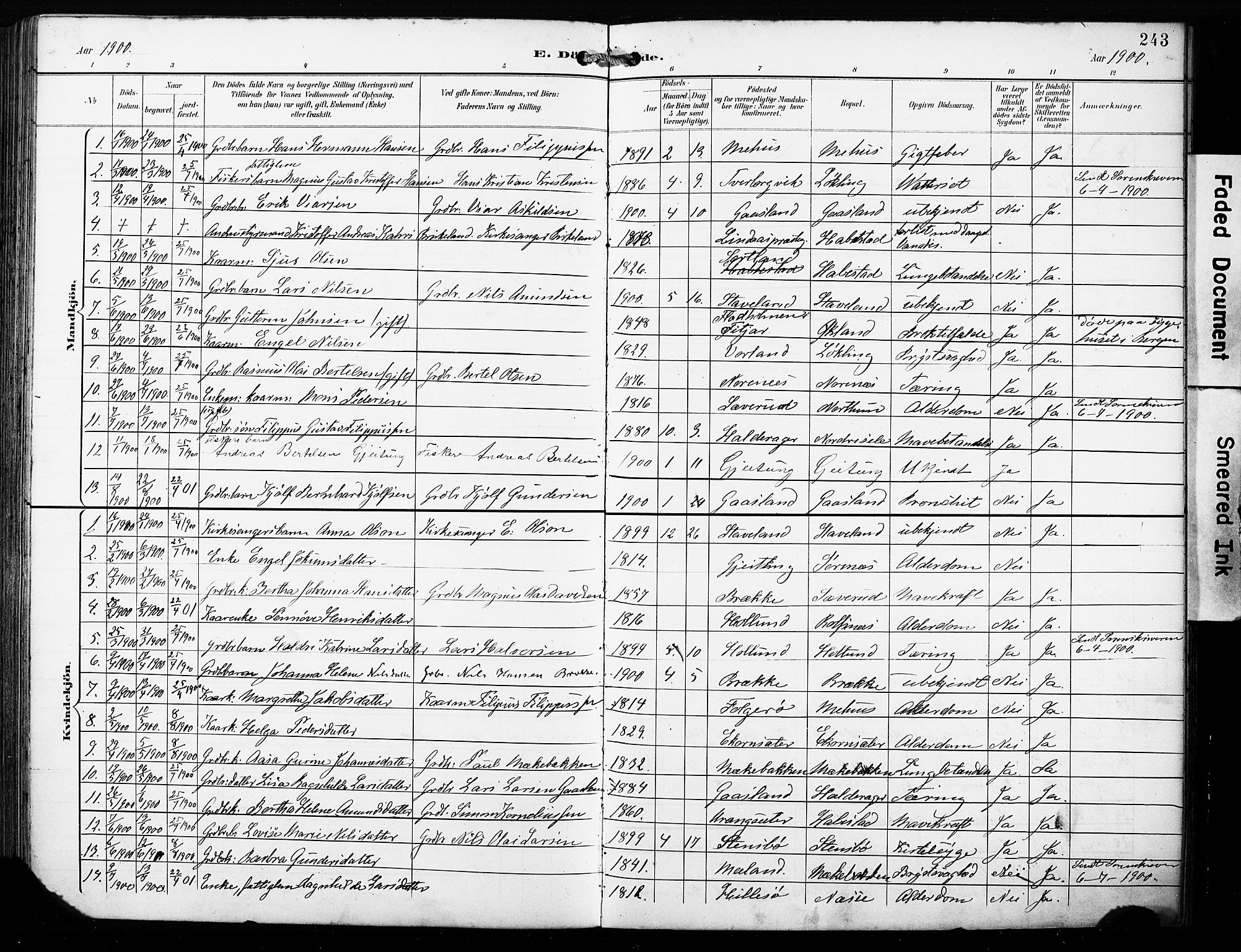 Finnås sokneprestembete, SAB/A-99925/H/Ha/Haa/Haac/L0002: Parish register (official) no. C 2, 1895-1904, p. 243