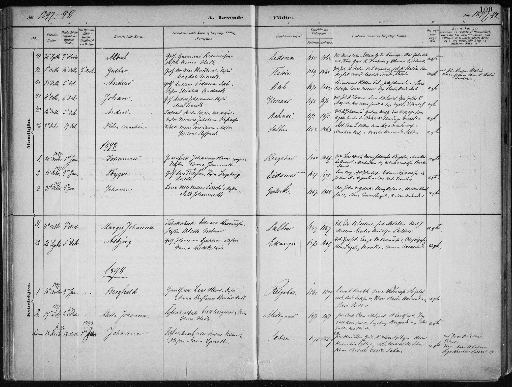 Hamre sokneprestembete, SAB/A-75501/H/Ha/Haa/Haab/L0001: Parish register (official) no. B  1, 1882-1905, p. 100