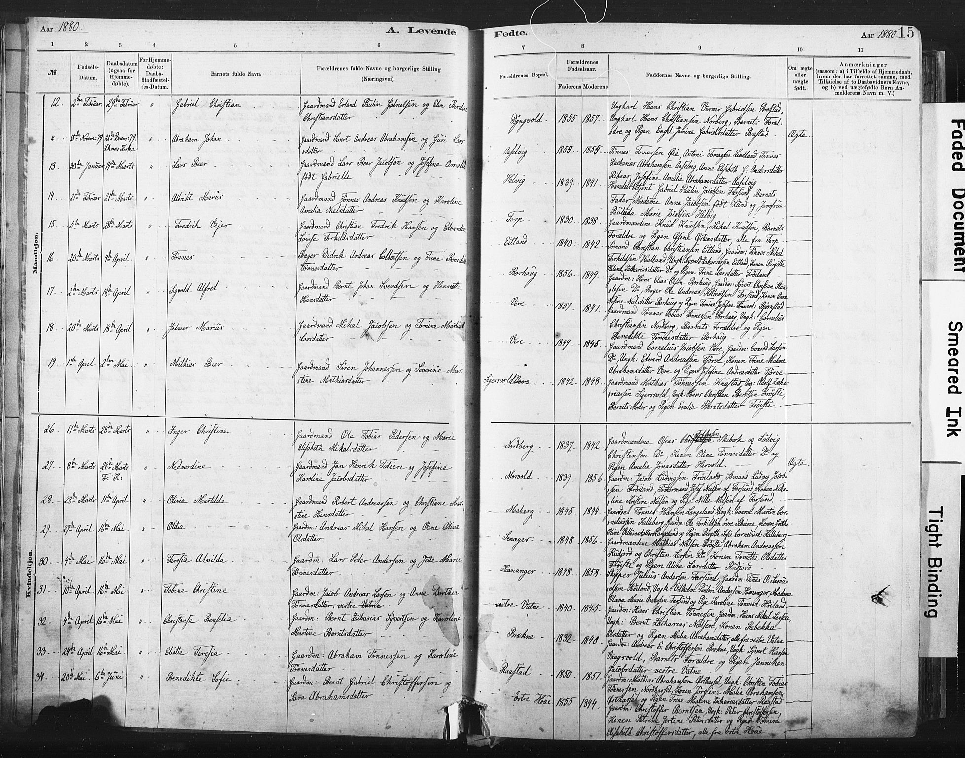 Lista sokneprestkontor, AV/SAK-1111-0027/F/Fa/L0012: Parish register (official) no. A 12, 1879-1903, p. 15