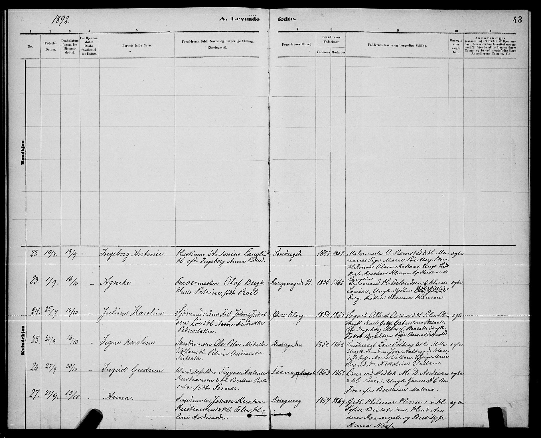 Ministerialprotokoller, klokkerbøker og fødselsregistre - Nord-Trøndelag, SAT/A-1458/739/L0374: Parish register (copy) no. 739C02, 1883-1898, p. 43