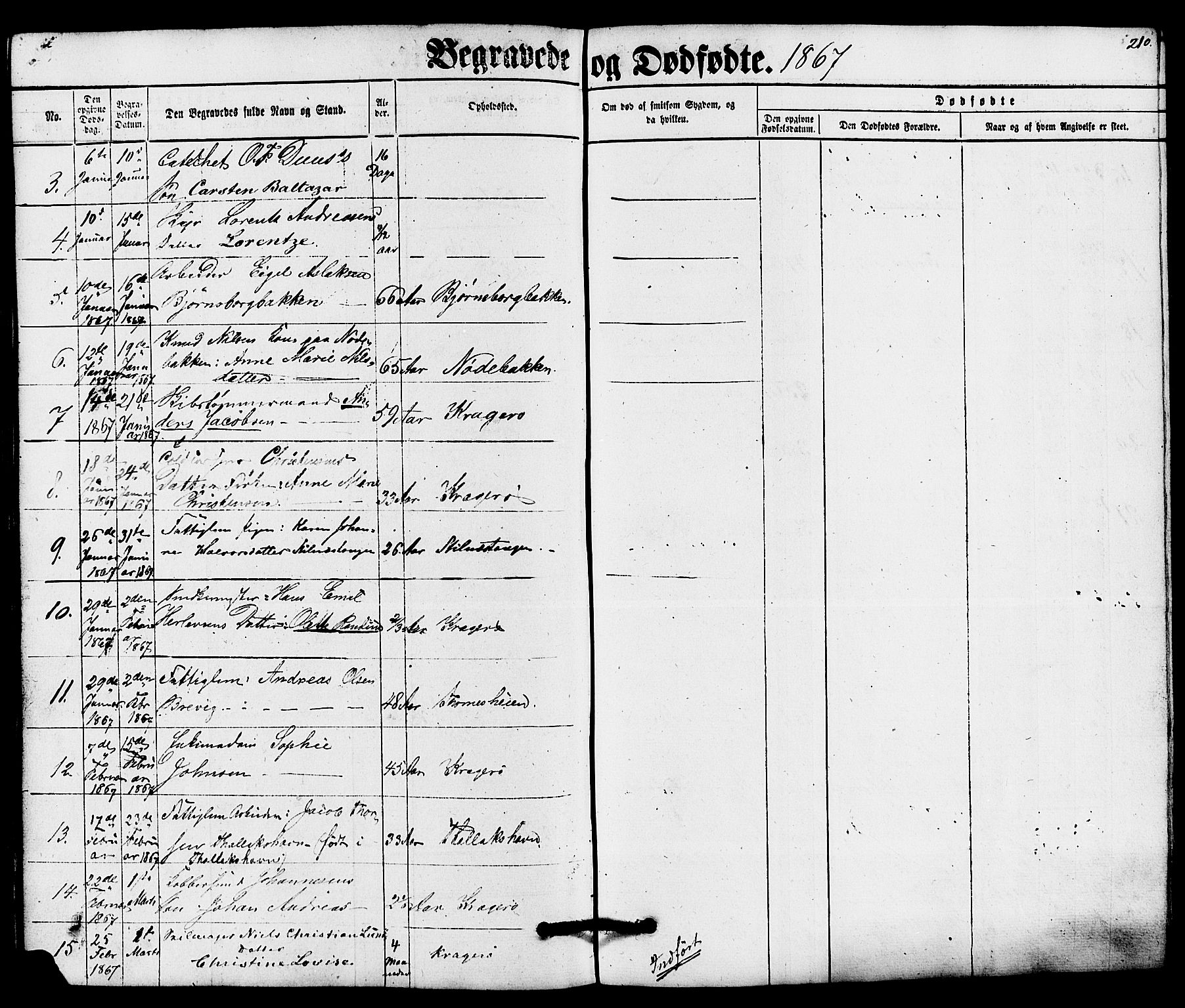 Kragerø kirkebøker, AV/SAKO-A-278/G/Ga/L0005: Parish register (copy) no. 5, 1865-1881, p. 210