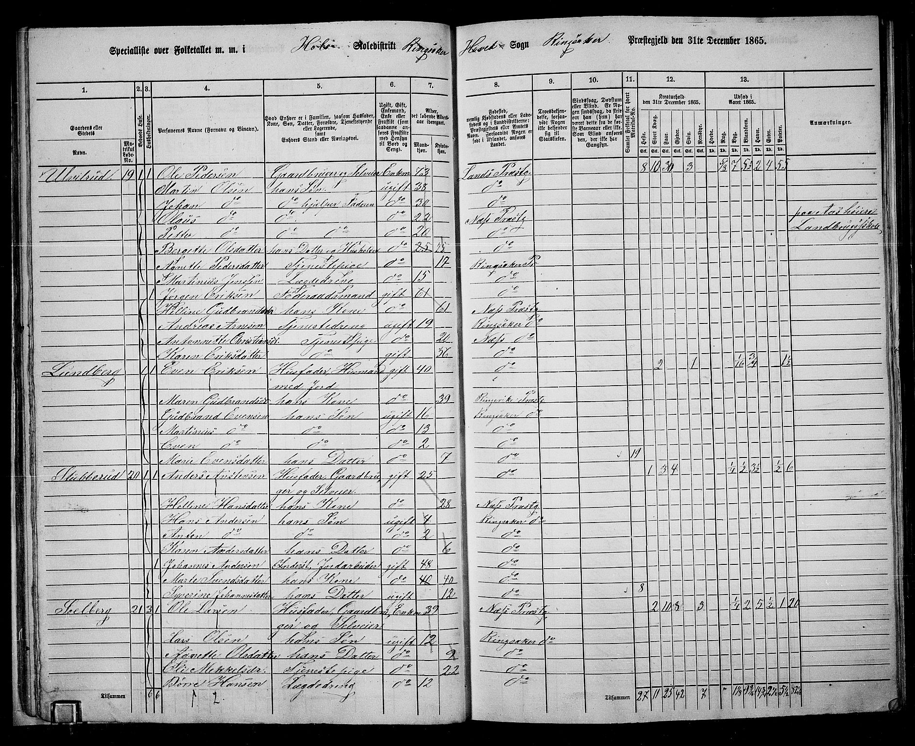 RA, 1865 census for Ringsaker, 1865, p. 40