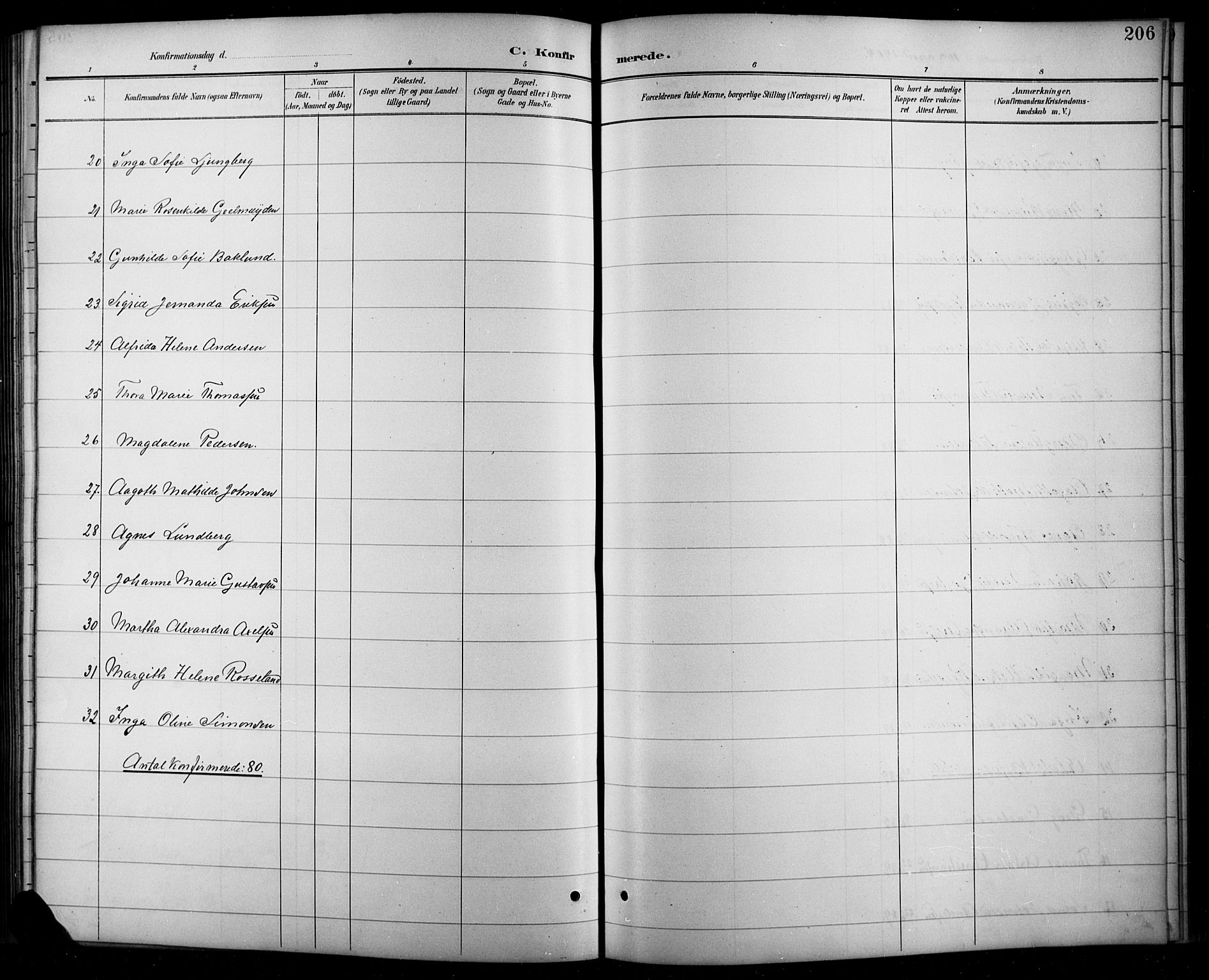 Arendal sokneprestkontor, Trefoldighet, SAK/1111-0040/F/Fb/L0006: Parish register (copy) no. B 6, 1889-1916, p. 206