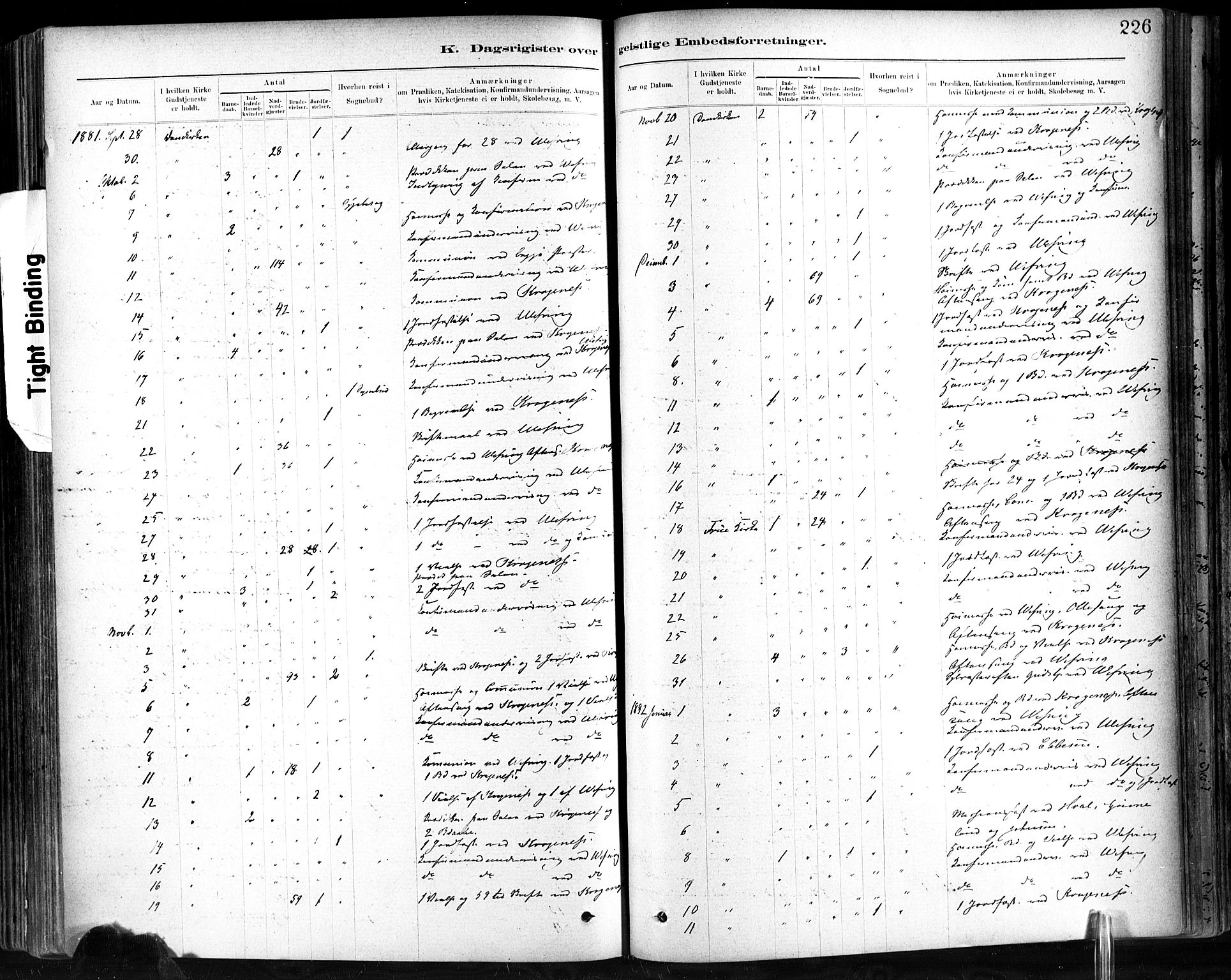 Ministerialprotokoller, klokkerbøker og fødselsregistre - Sør-Trøndelag, AV/SAT-A-1456/602/L0120: Parish register (official) no. 602A18, 1880-1913, p. 226