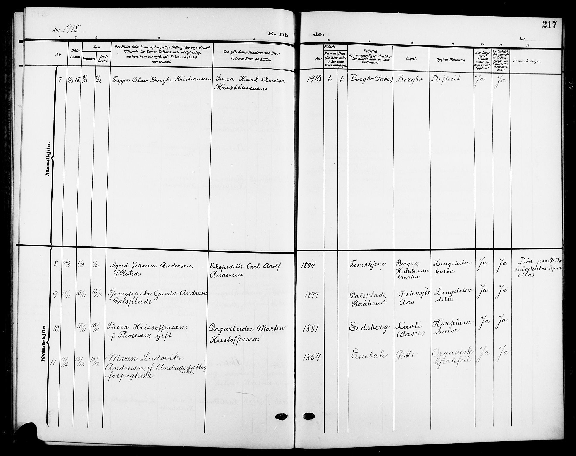 Nesodden prestekontor Kirkebøker, SAO/A-10013/G/Gb/L0001: Parish register (copy) no. II 1, 1905-1924, p. 217