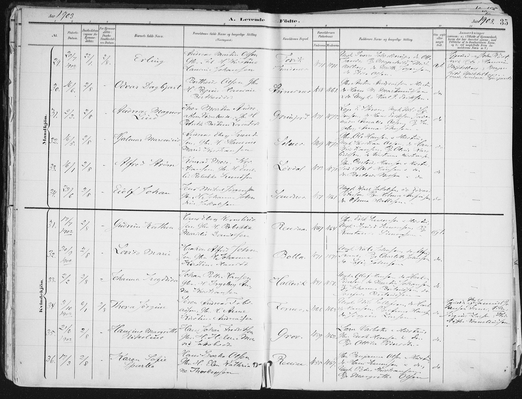 Ibestad sokneprestembete, AV/SATØ-S-0077/H/Ha/Haa/L0017kirke: Parish register (official) no. 17, 1901-1914, p. 35