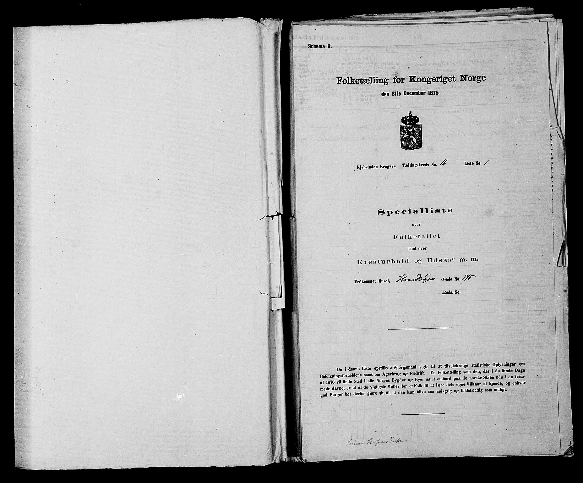 SAKO, 1875 census for 0801P Kragerø, 1875, p. 338