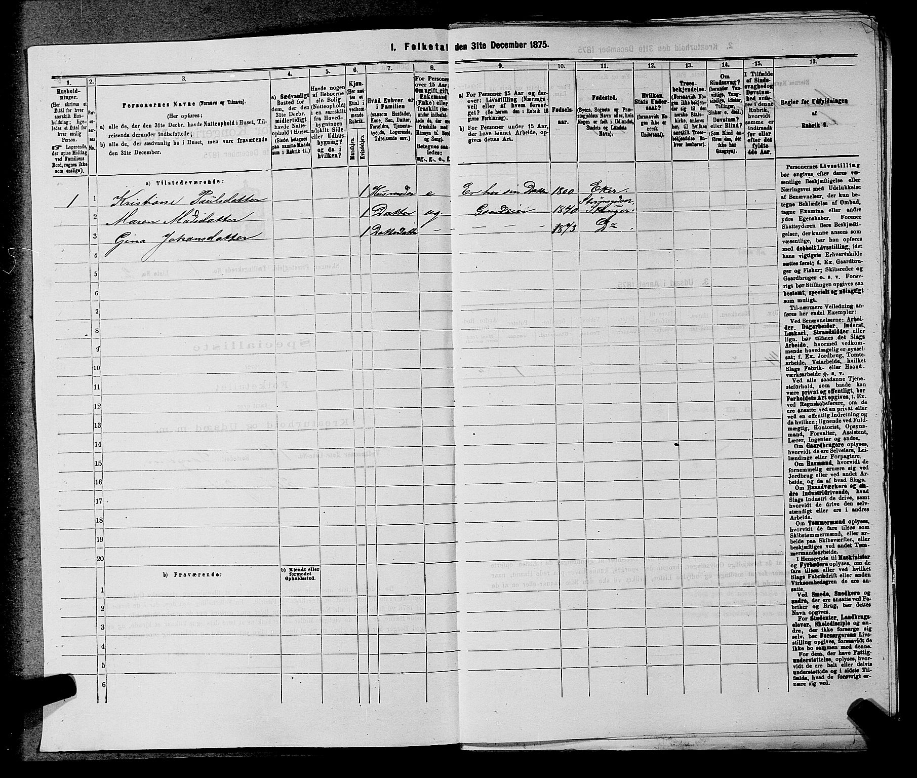 SAKO, 1875 census for 0712P Skoger, 1875, p. 45