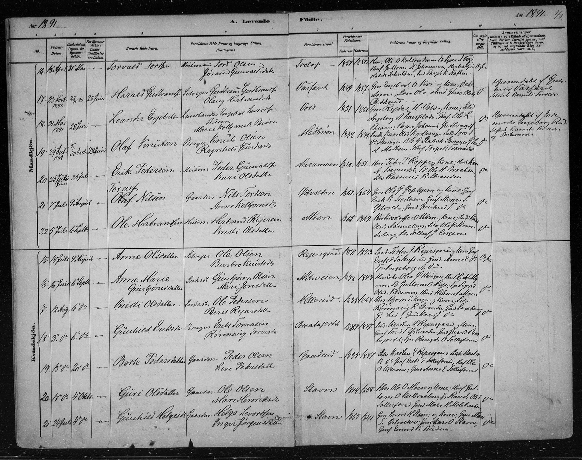 Nes kirkebøker, AV/SAKO-A-236/F/Fa/L0012: Parish register (official) no. 12, 1881-1917, p. 40