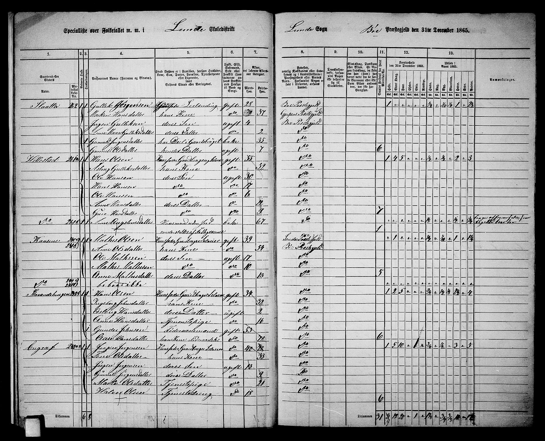 RA, 1865 census for Bø, 1865, p. 18