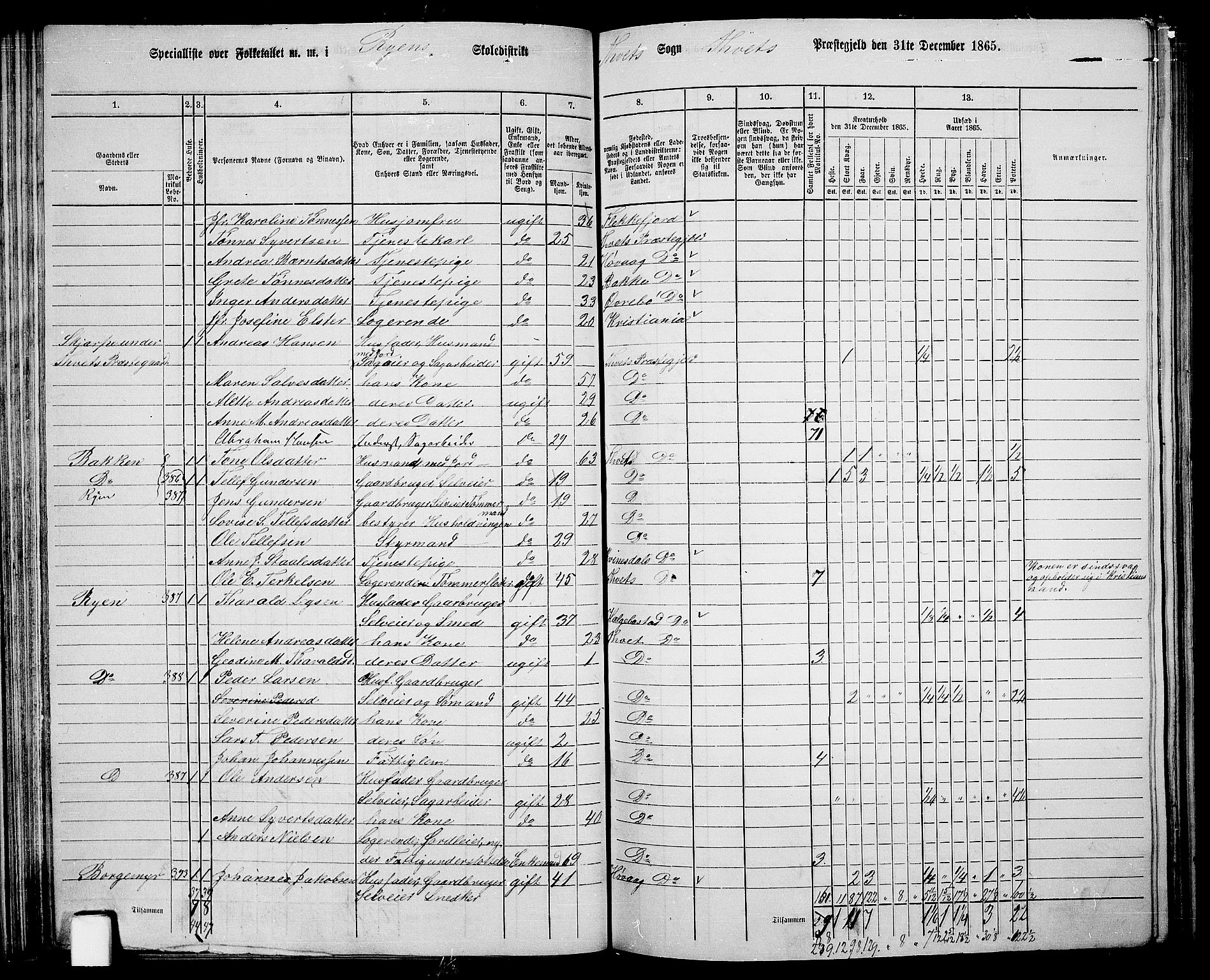 RA, 1865 census for Tveit, 1865, p. 55