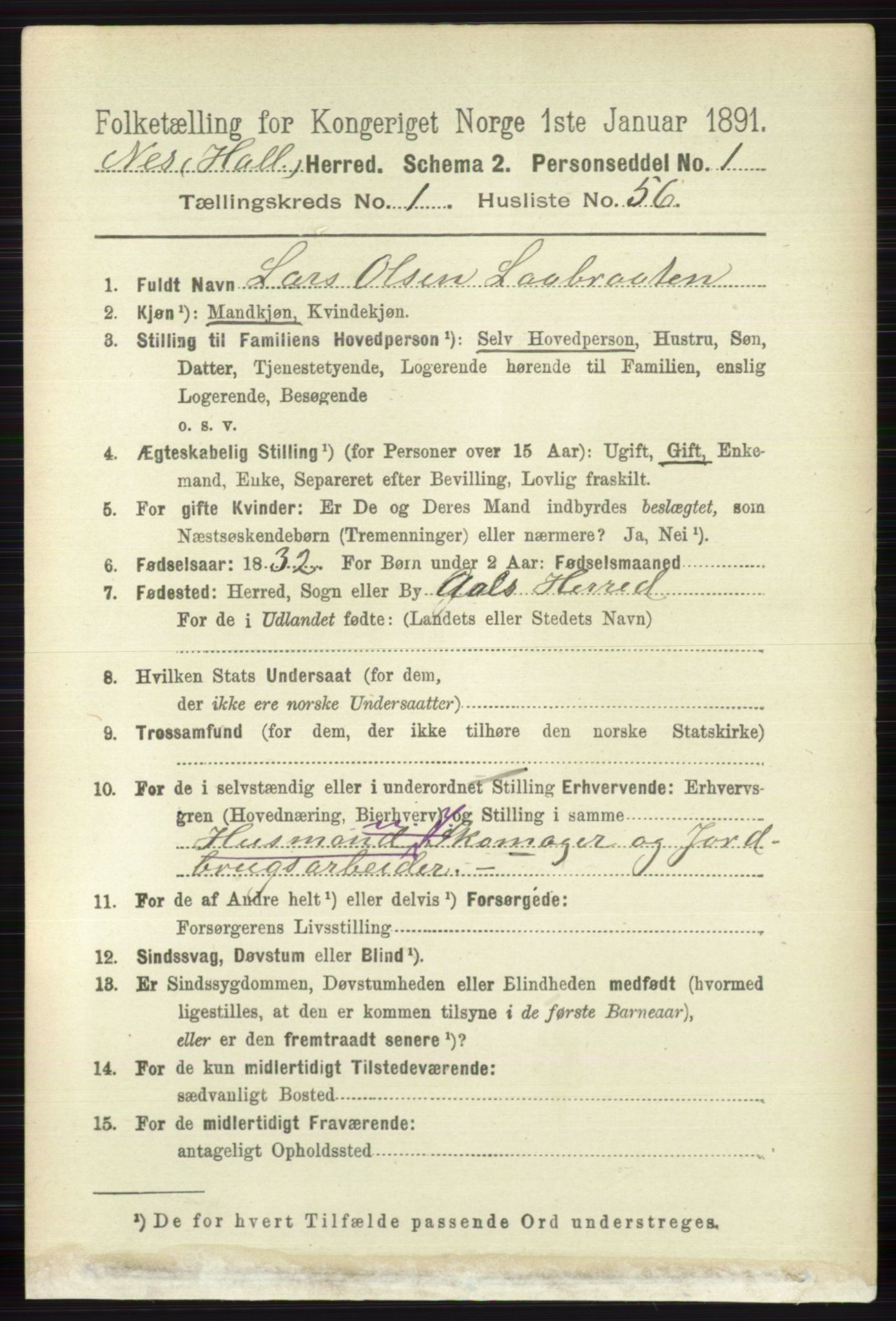 RA, 1891 census for 0616 Nes, 1891, p. 482